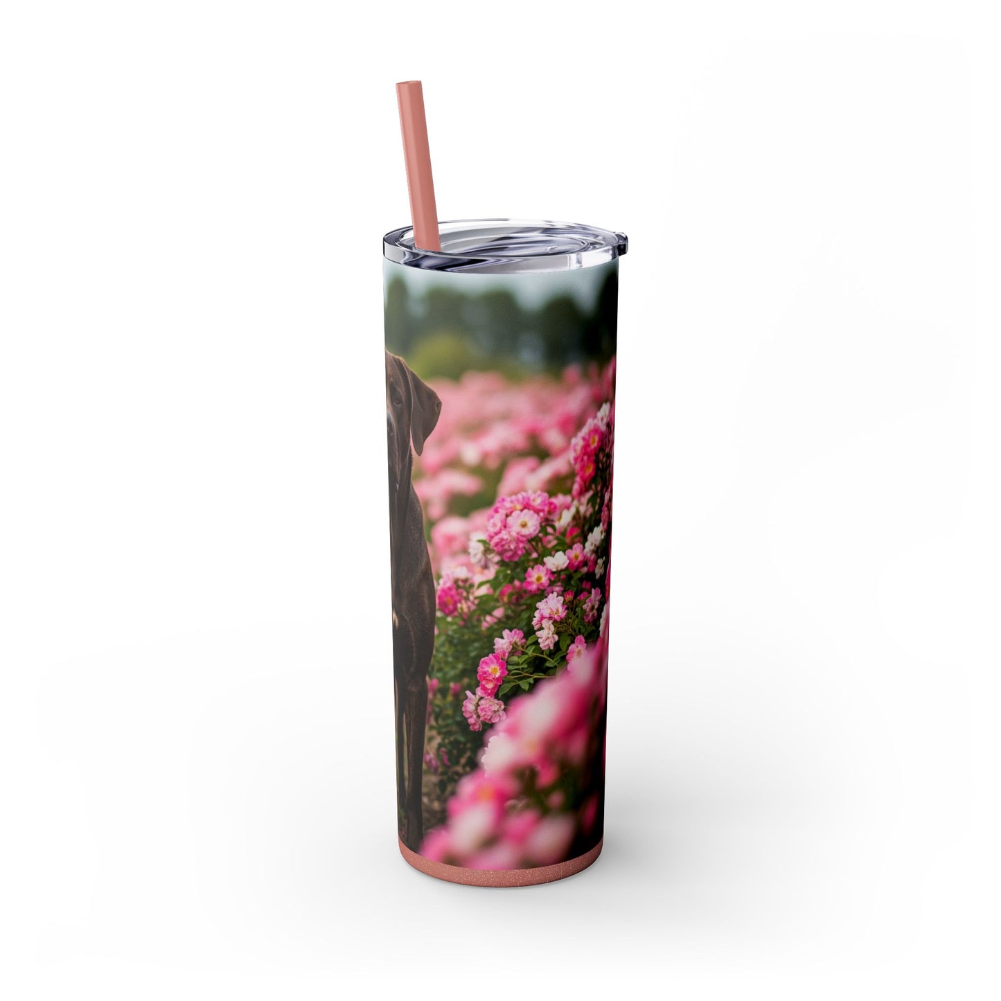Broholmer Tumbler with Straw, 20oz