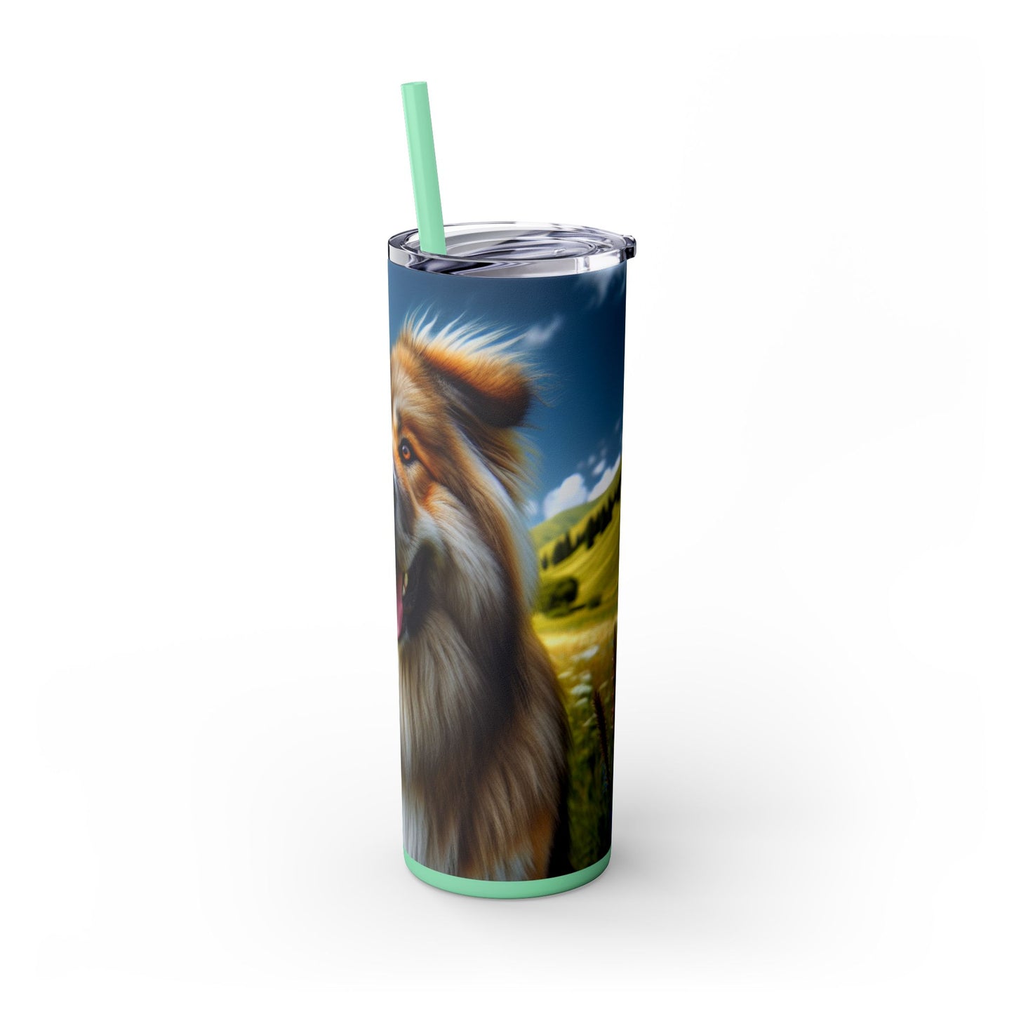 Bakharwal Tumbler with Straw, 20oz