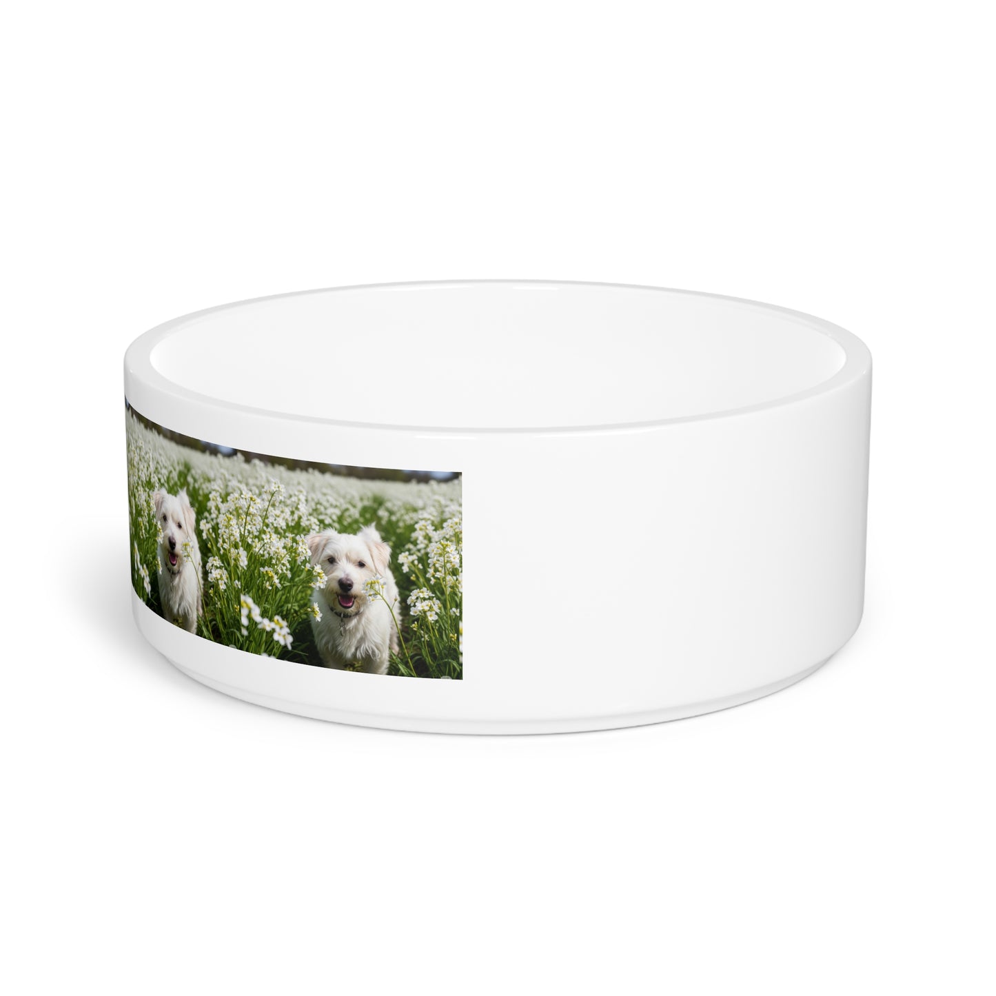 Kromfohrlander Pet Bowl