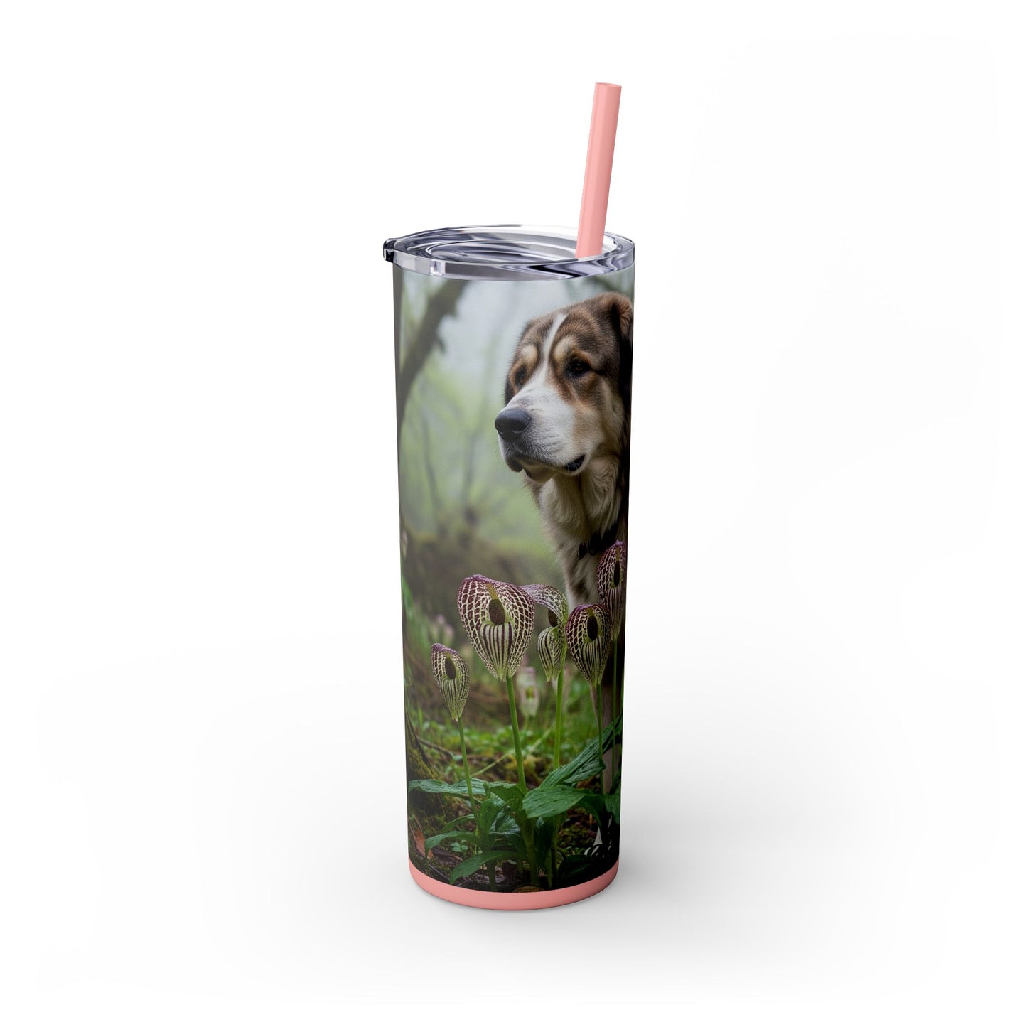 Bakharwal Tumbler with Straw, 20oz