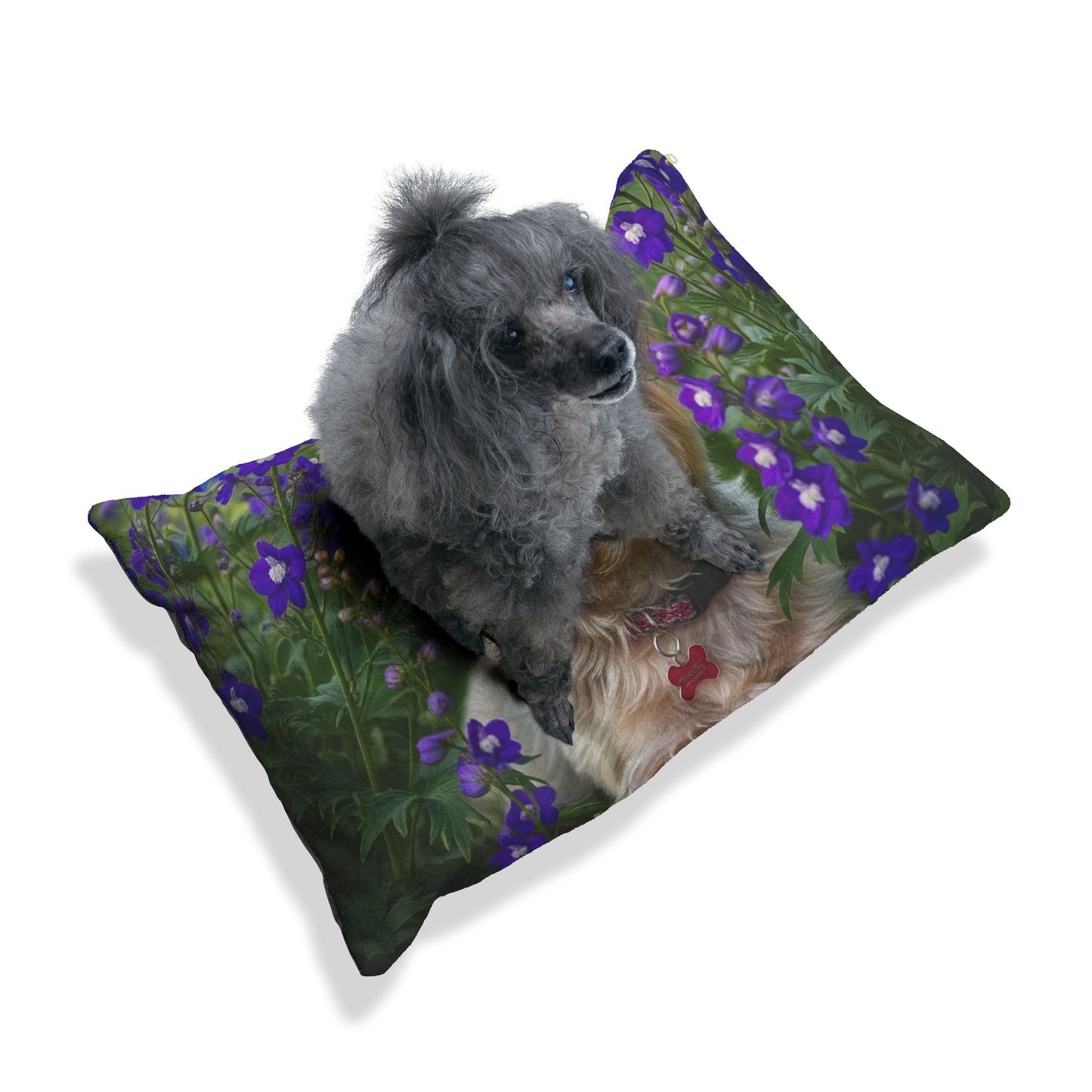 Yorkiepoo Pet Bed