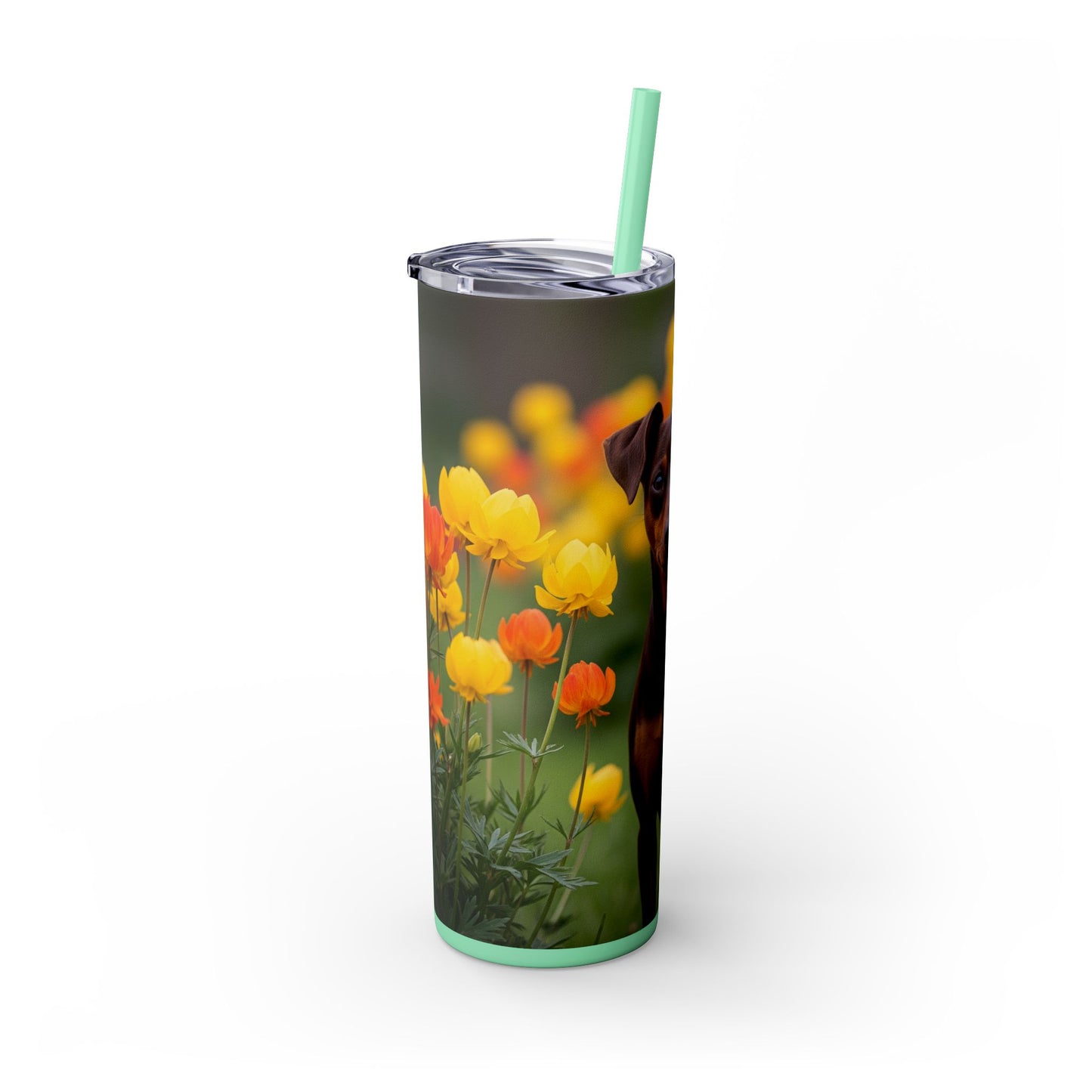 Miniature Pinscher Skinny Tumbler with Straw, 20oz