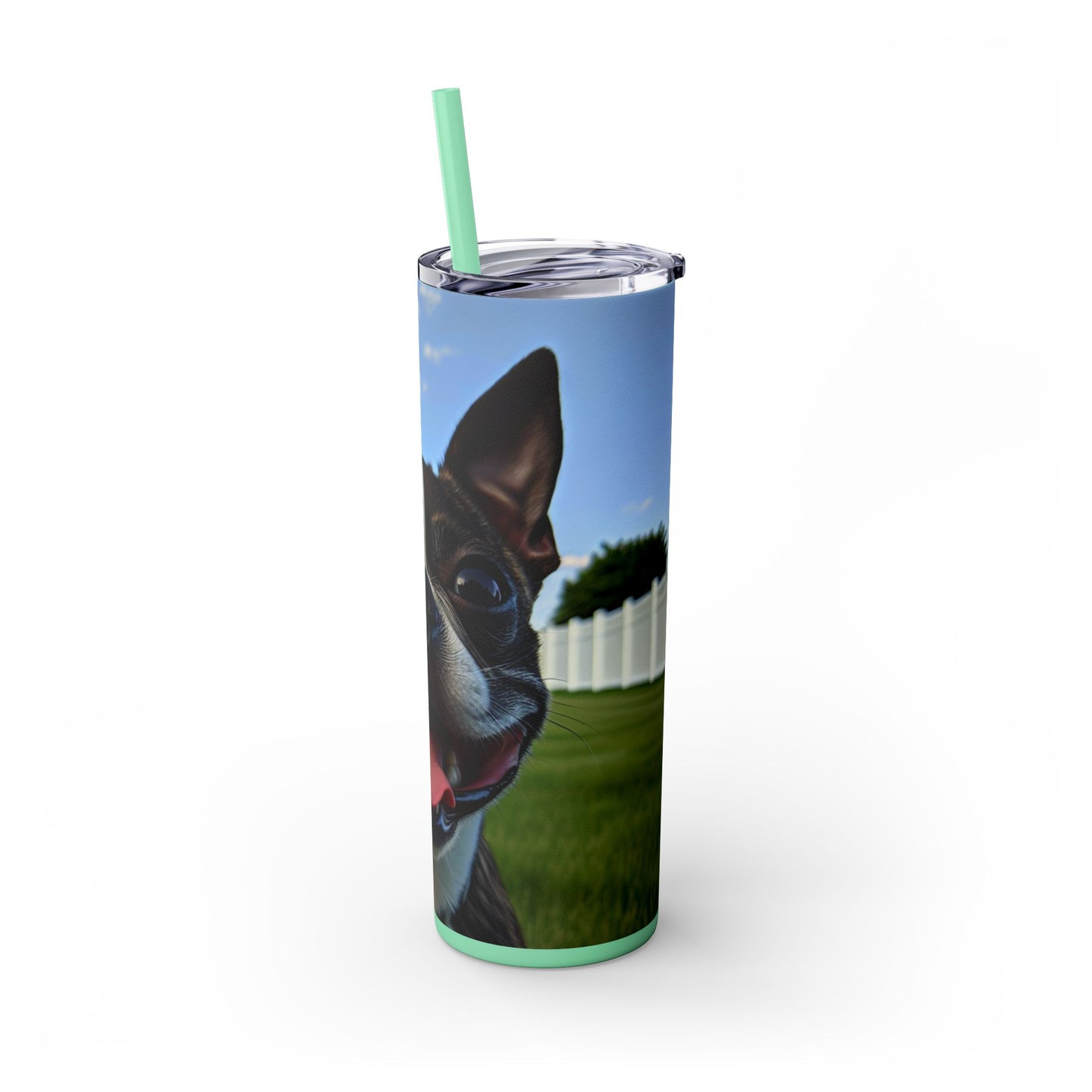 Boston Terrier Tumbler with Straw, 20oz
