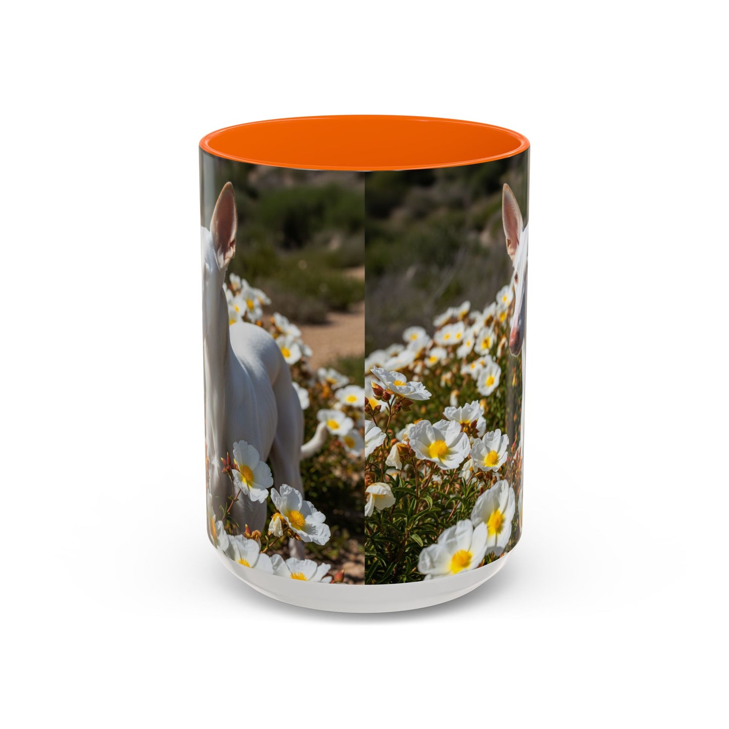 Ibizan Hound Accent Coffee Mug - Perfect Gift for Dog Lovers