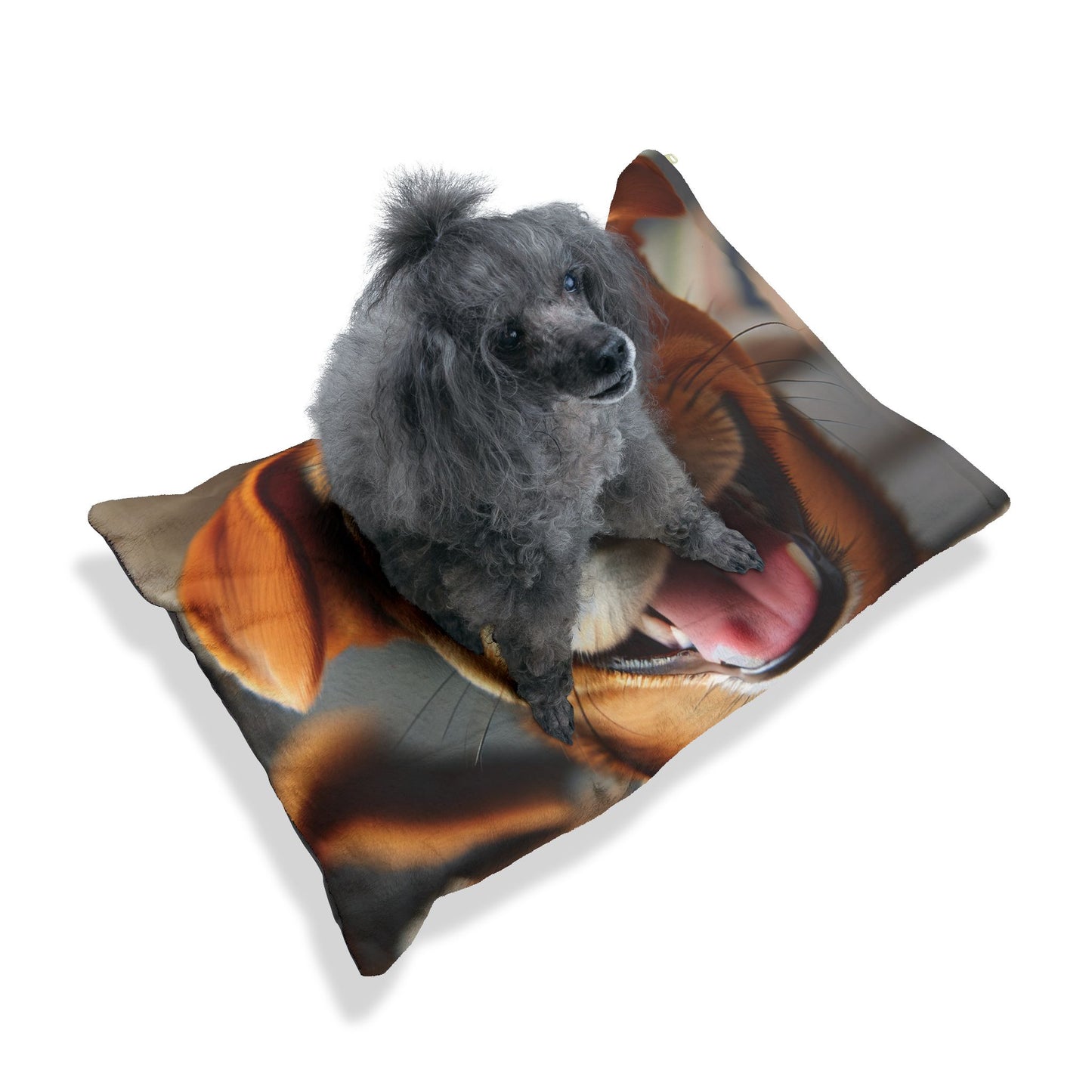 Chiweenie Pet Bed