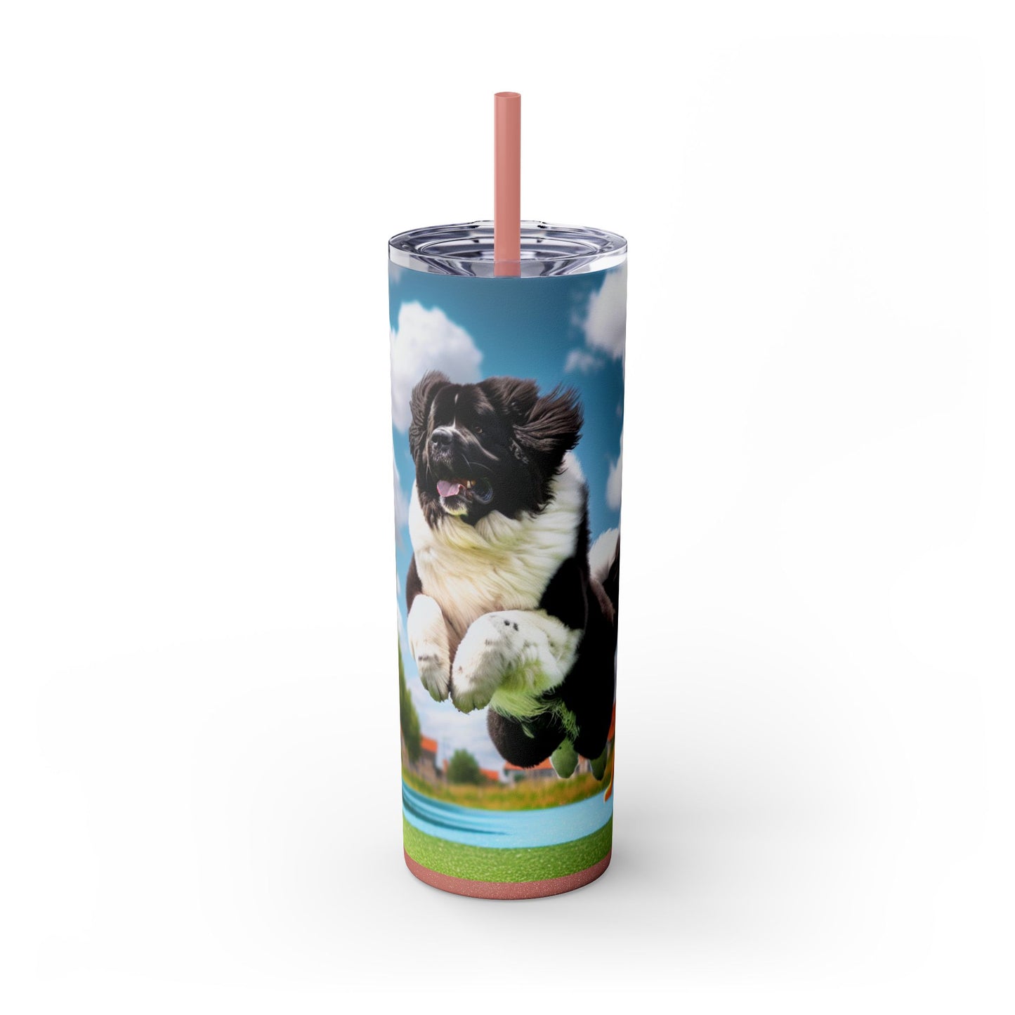 Landseer Tumbler with Straw, 20oz