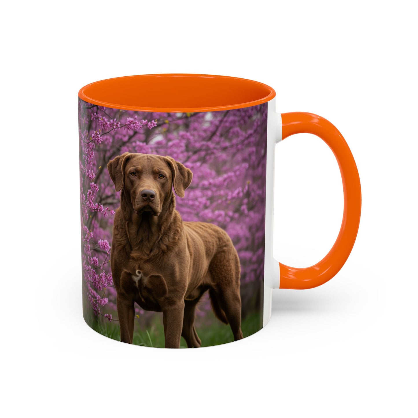 Chesapeake Bay Retriever Accent Coffee Mug - Perfect Gift for Dog Lovers