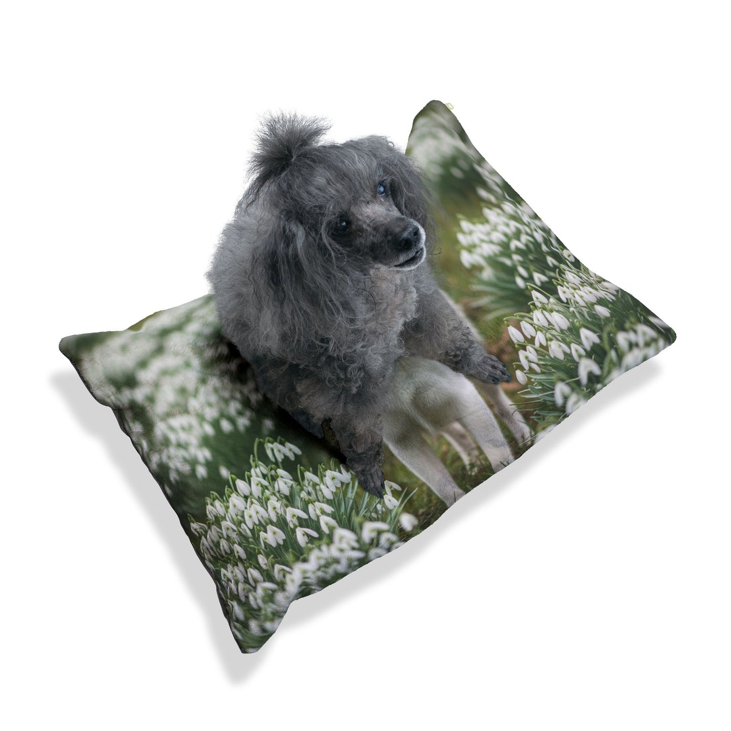 Volpino Italiano Pet Bed