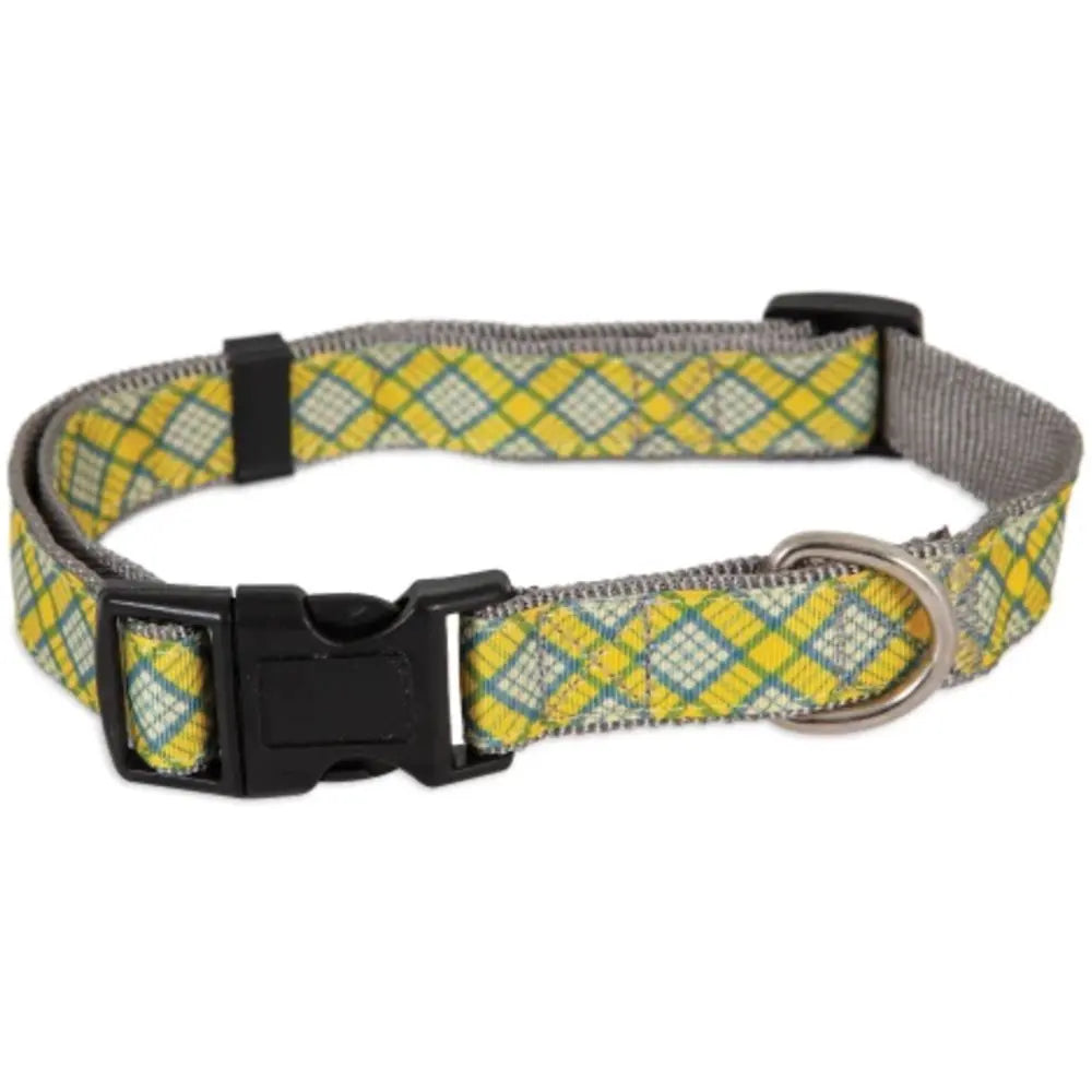 Collier pour chien Aspen
