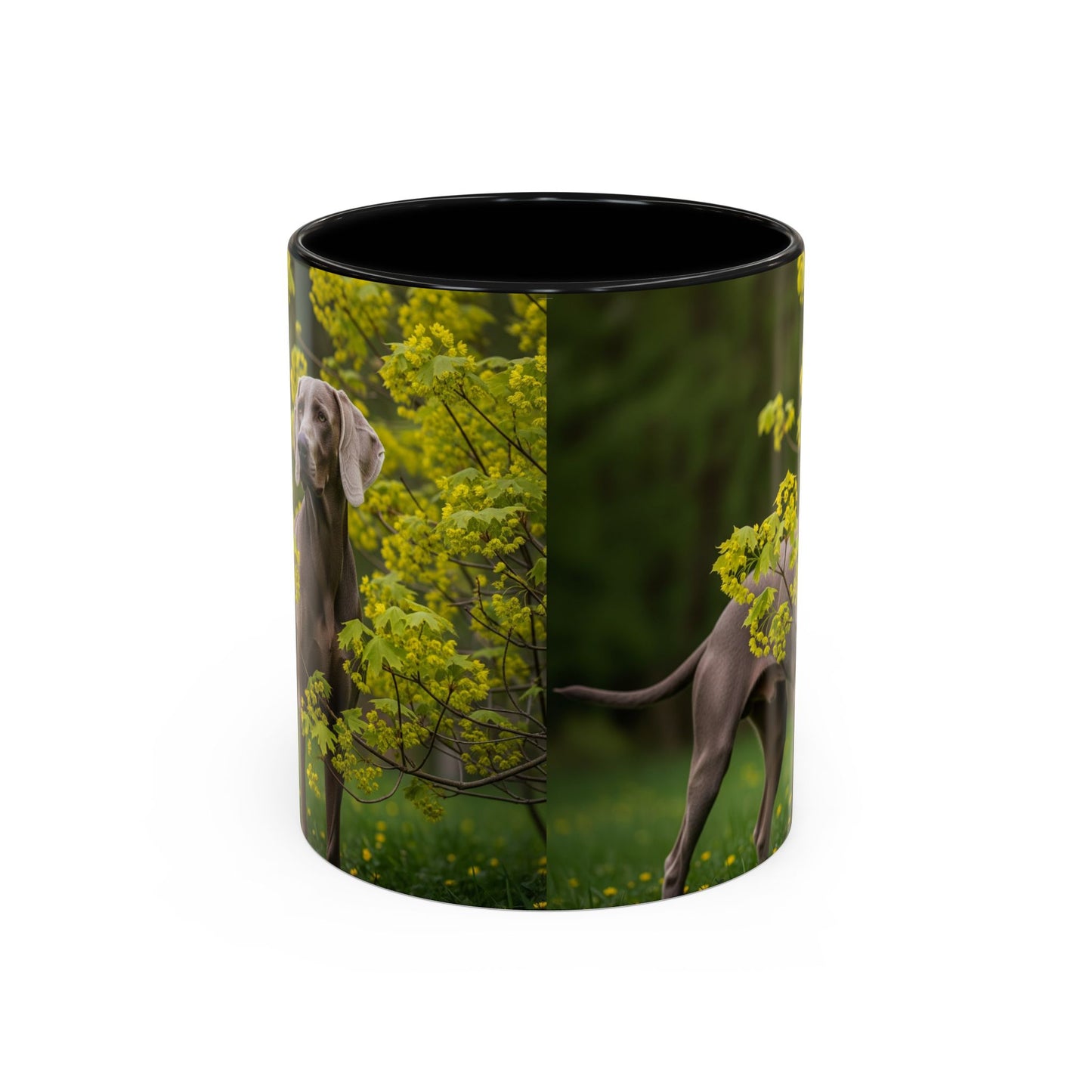 Weimaraner Accent Coffee Mug - Perfect Gift for Dog Lovers