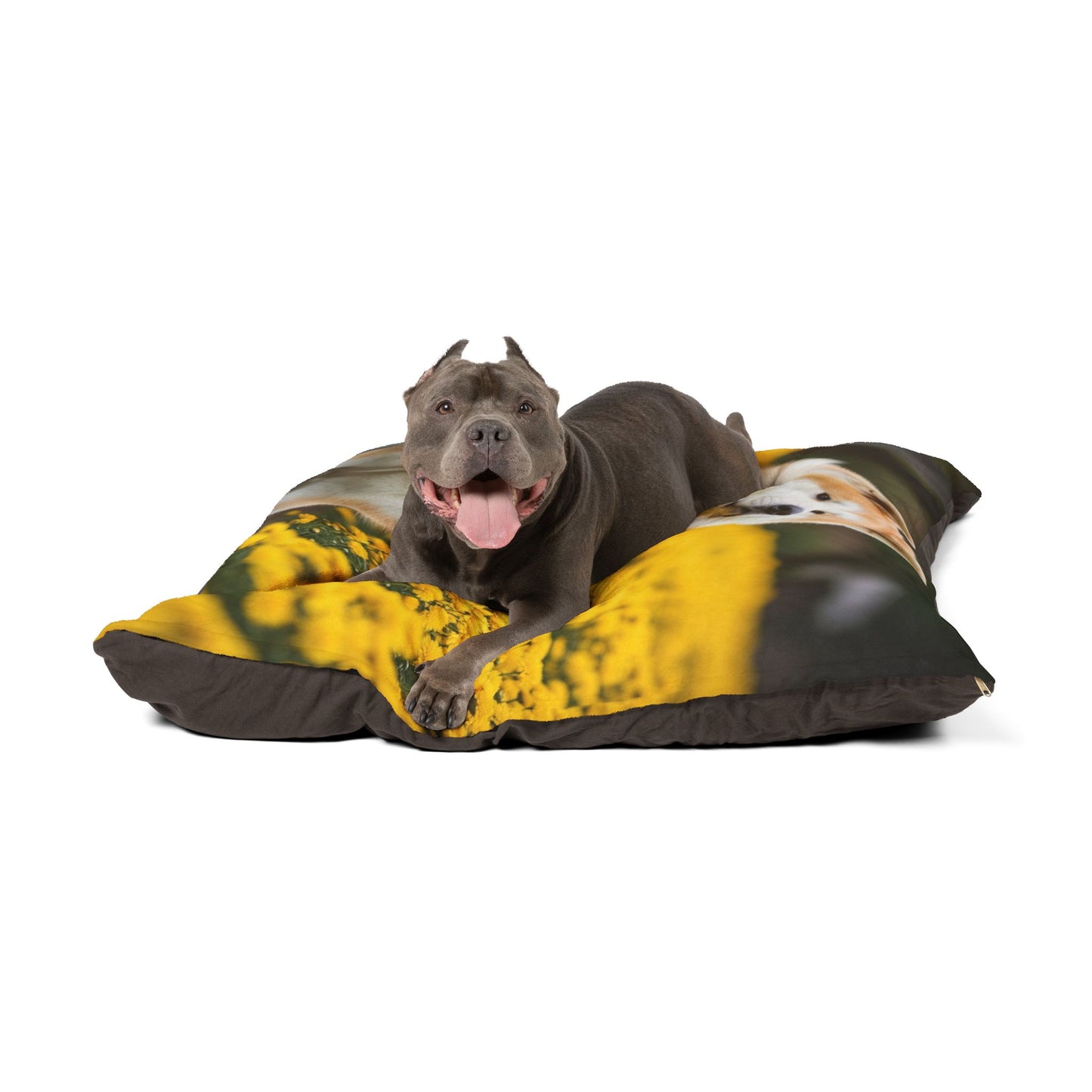Japanese Akitainu Pet Bed