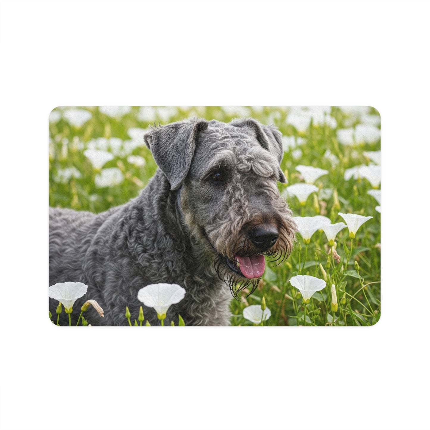 Pet Food Mat (12x18) - Kerry Blue Terrier