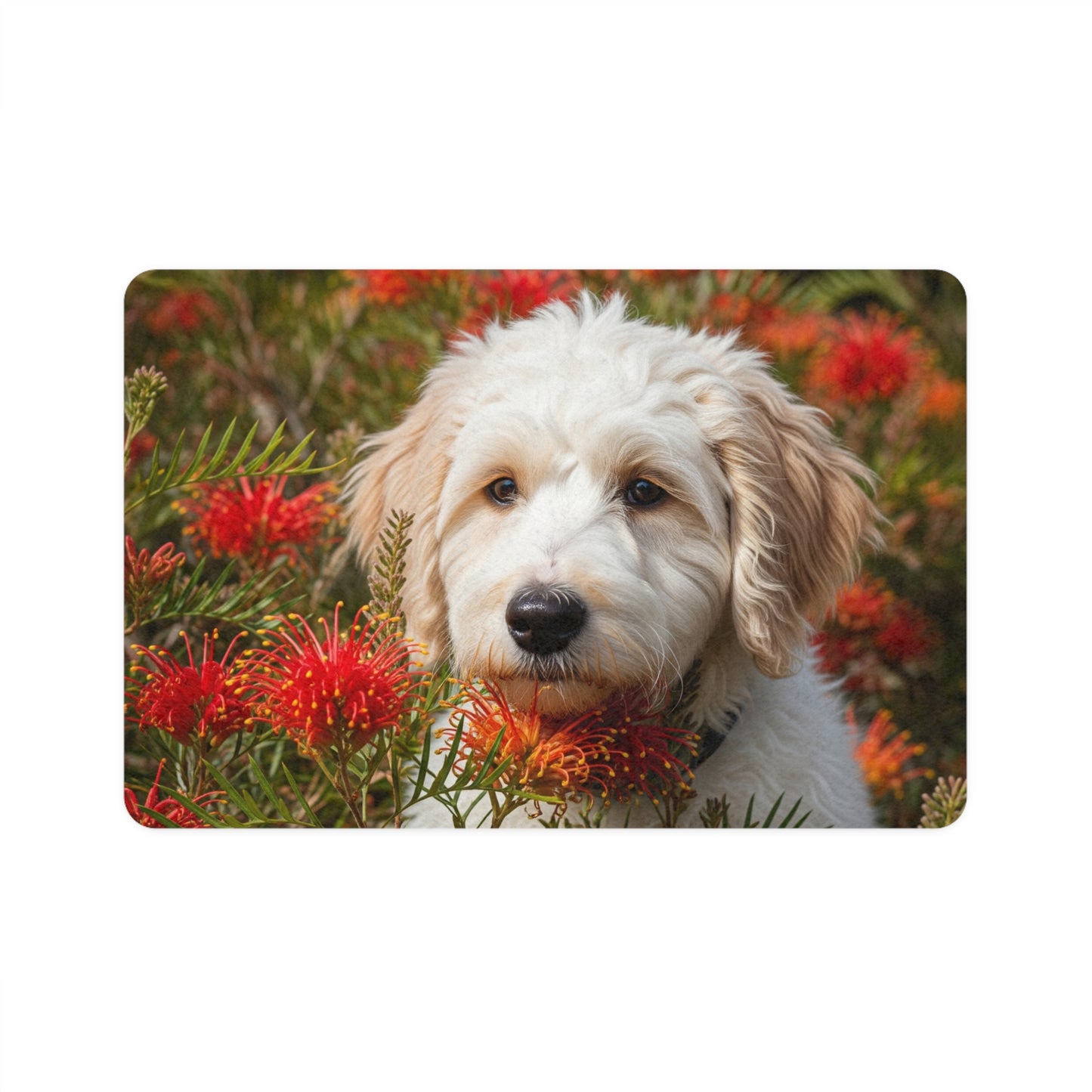 Pet Food Mat (12x18) - Labradoodle