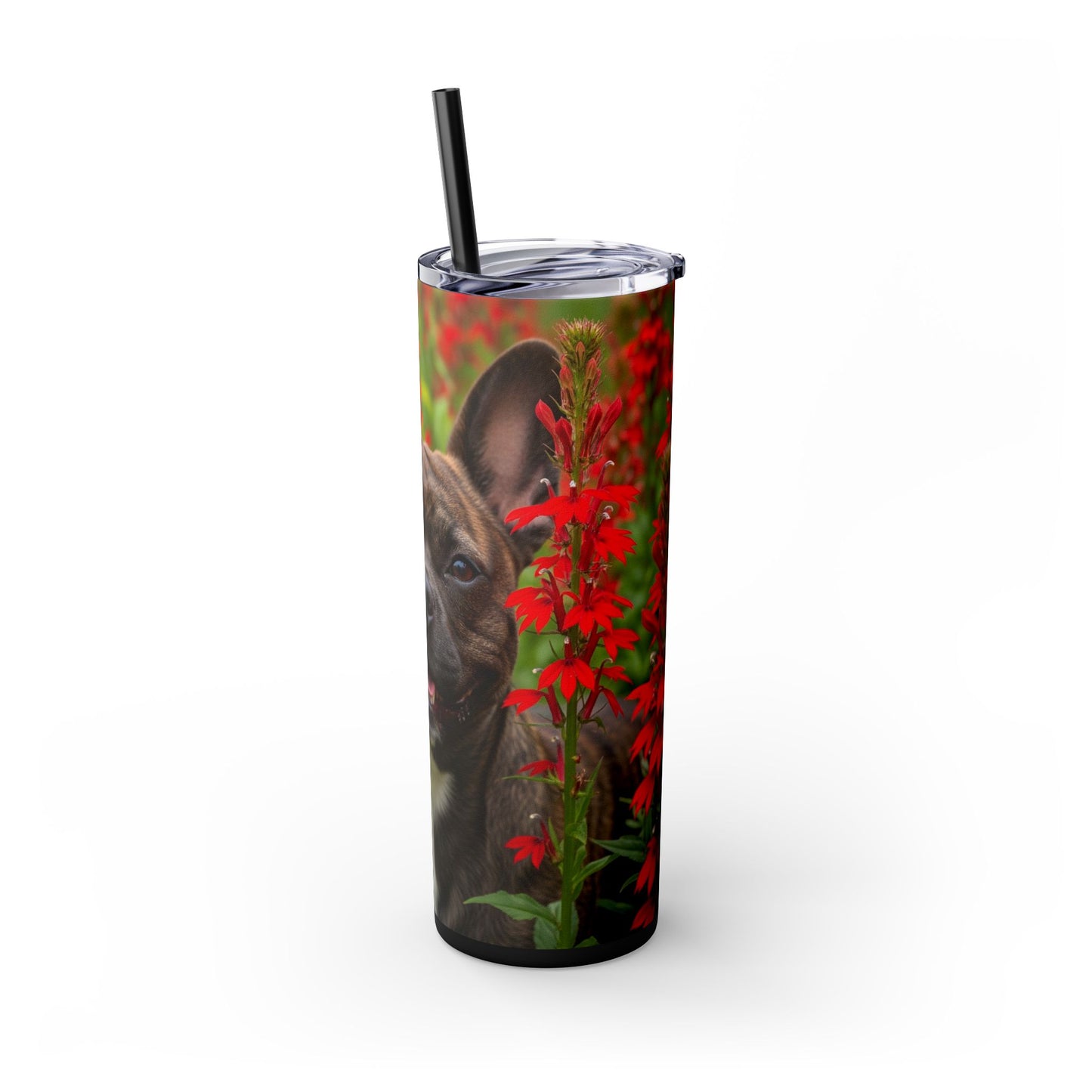 Frenchton Tumbler with Straw, 20oz