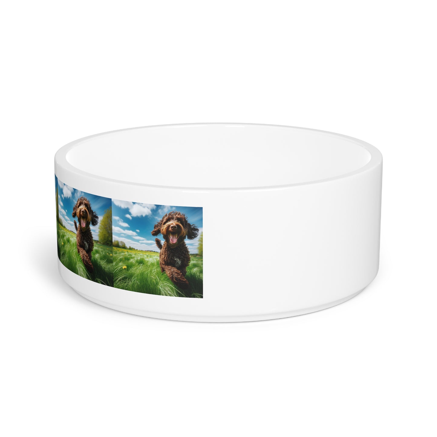 Wetterhoun Pet Bowl