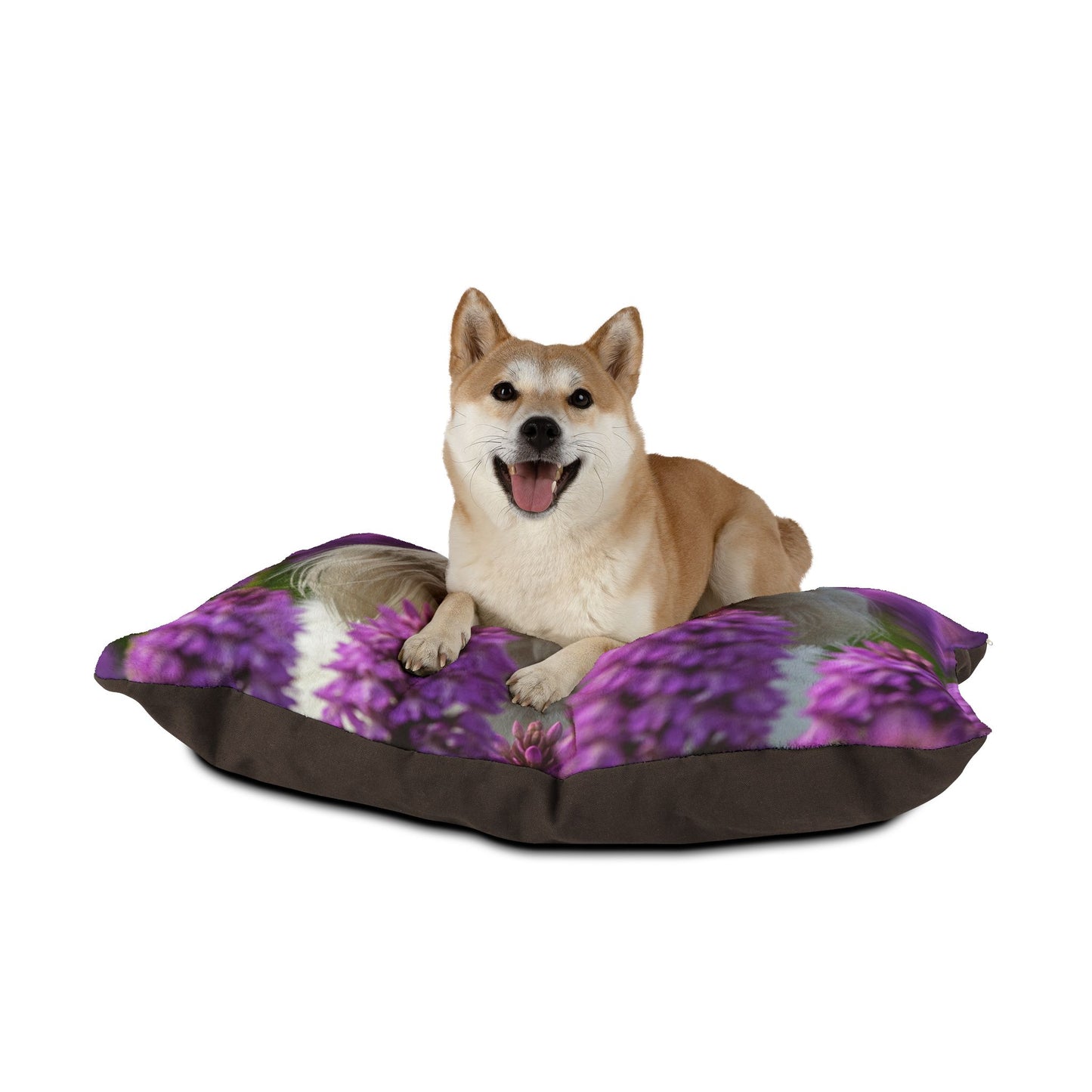 Maltese Pet Bed