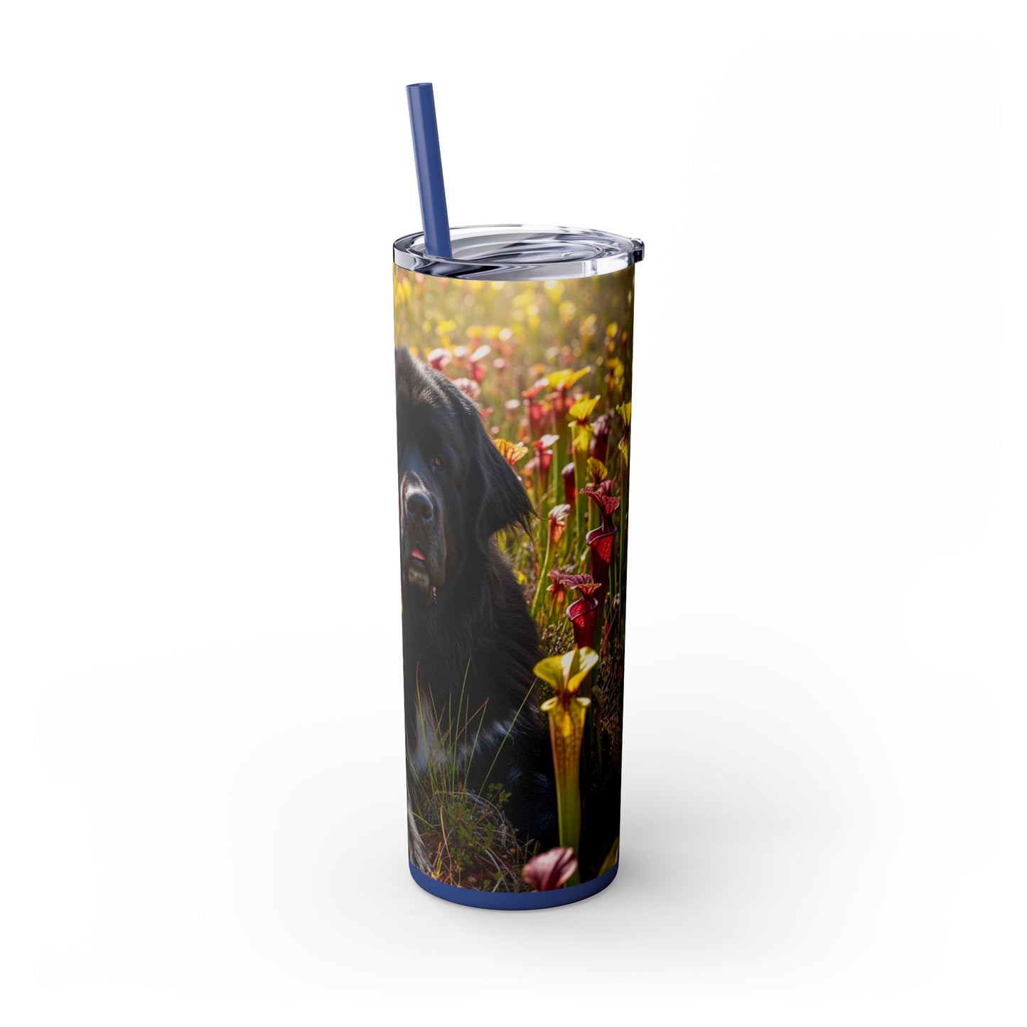 Newfoundland Skinny Tumbler with Straw, 20oz