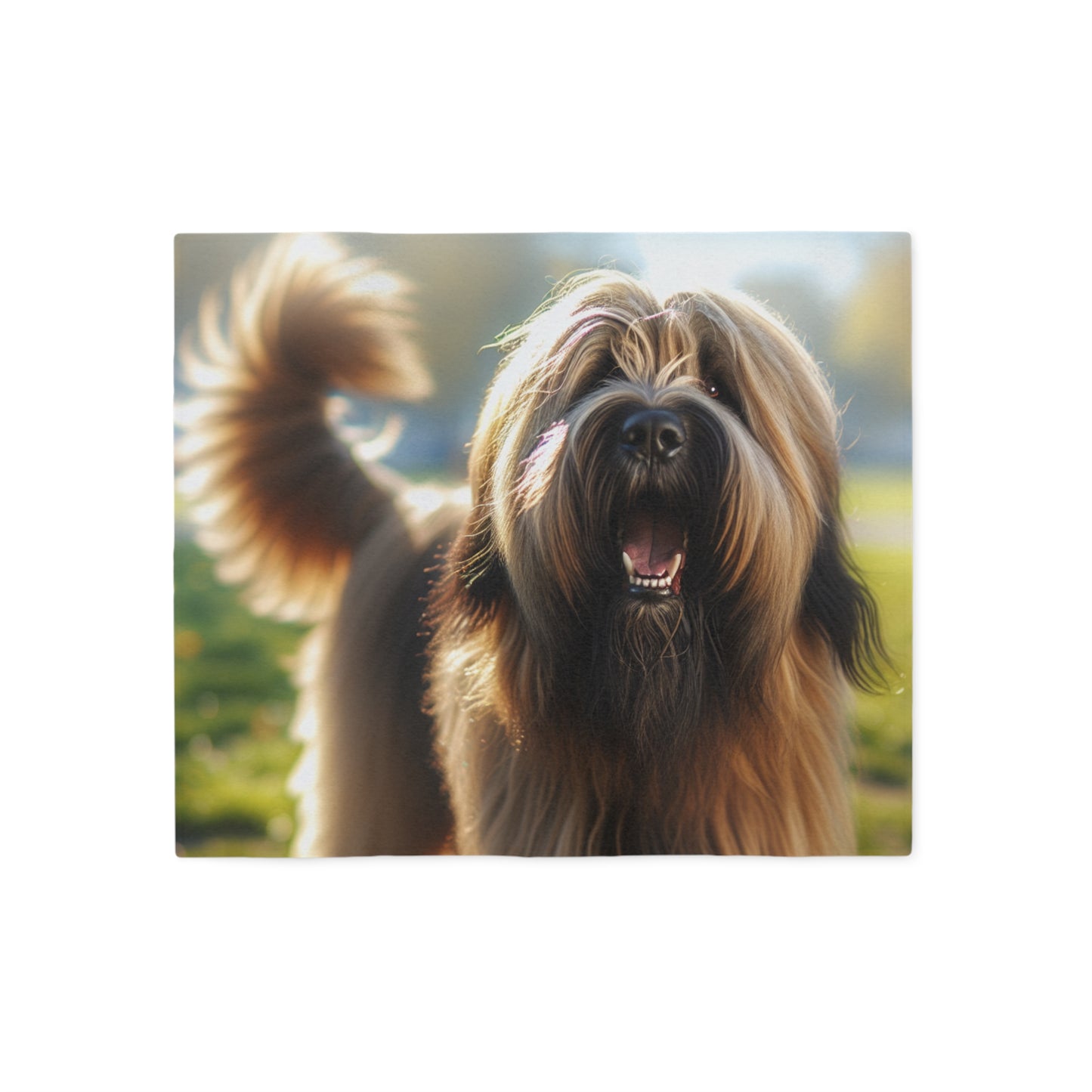 Briard Sweatshirt Blanket