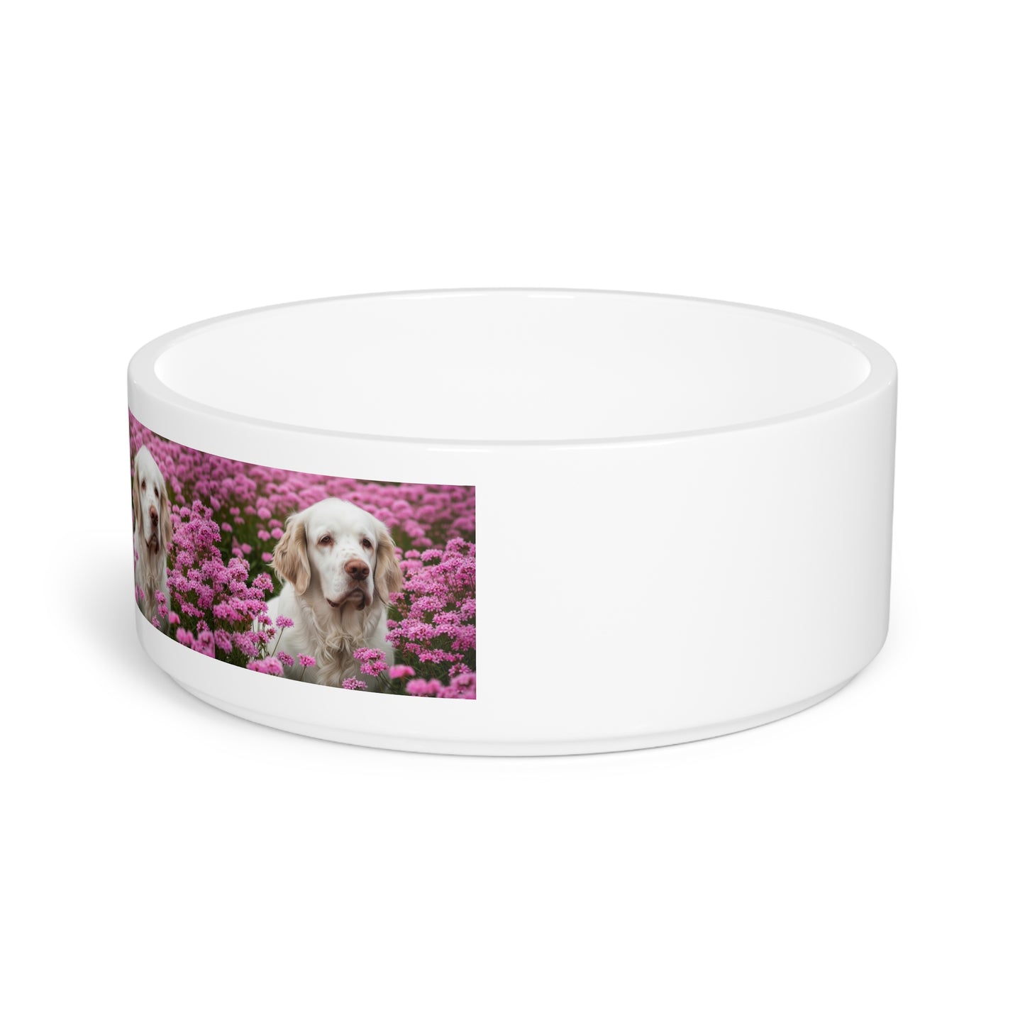 Clumber Spaniel Pet Bowl