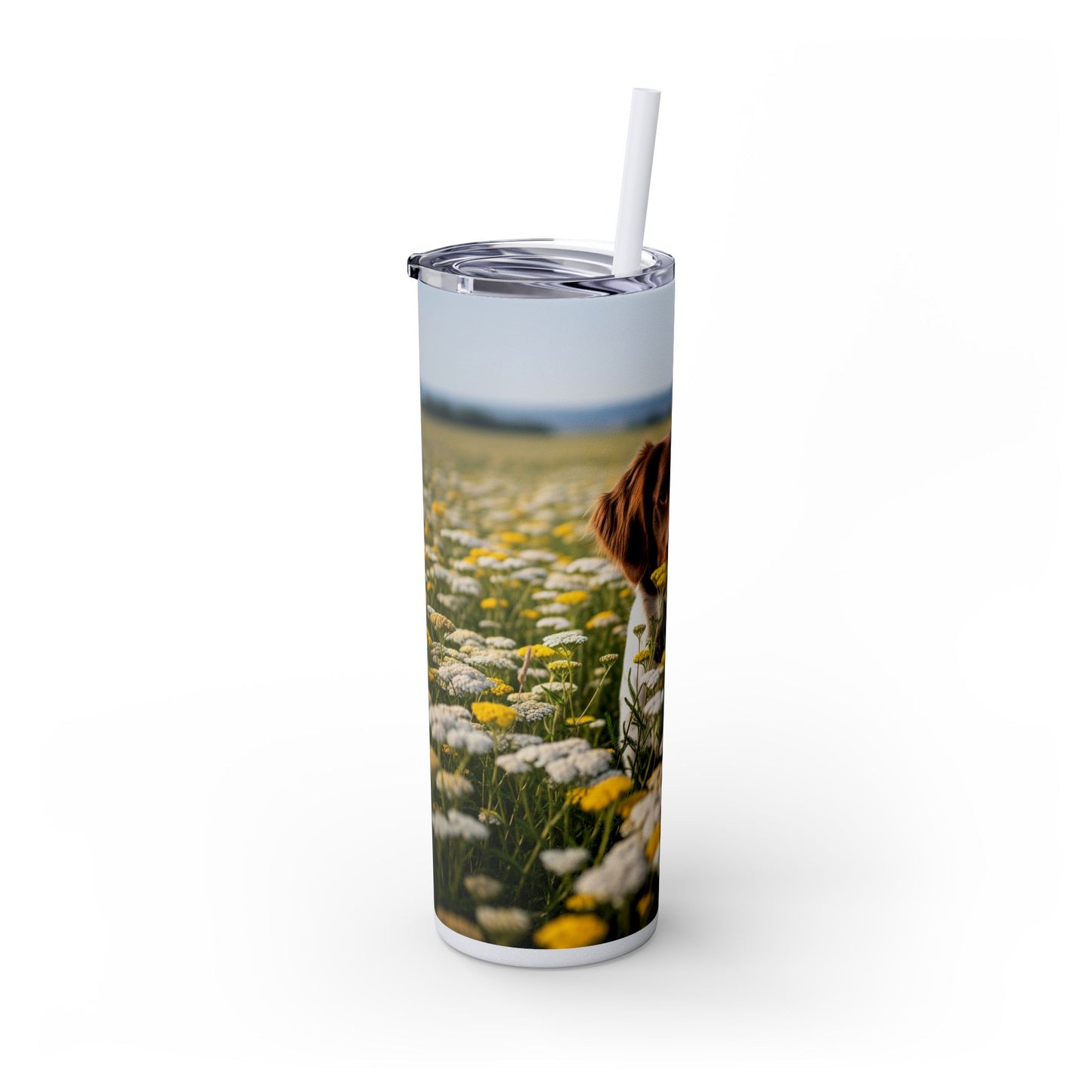 Drentsche Patrijshond Skinny Tumbler with Straw, 20oz