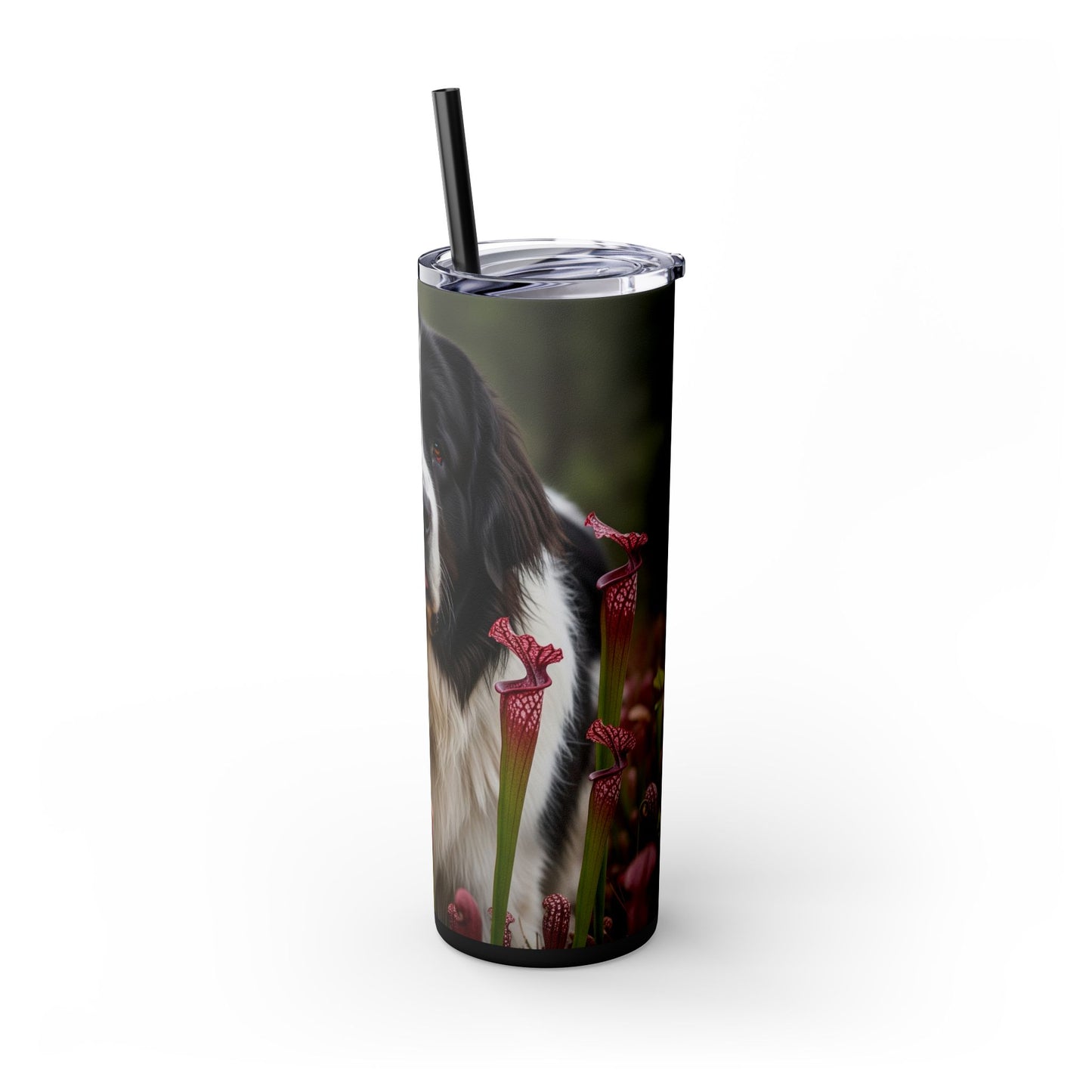 Landseer Tumbler with Straw, 20oz