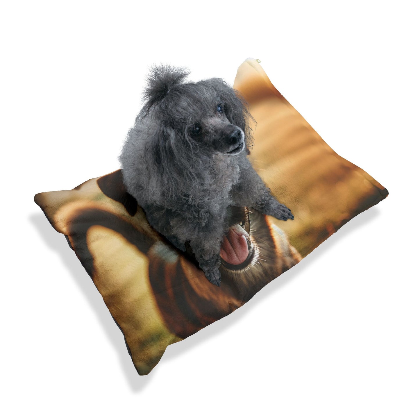 Mountain Cur Pet Bed