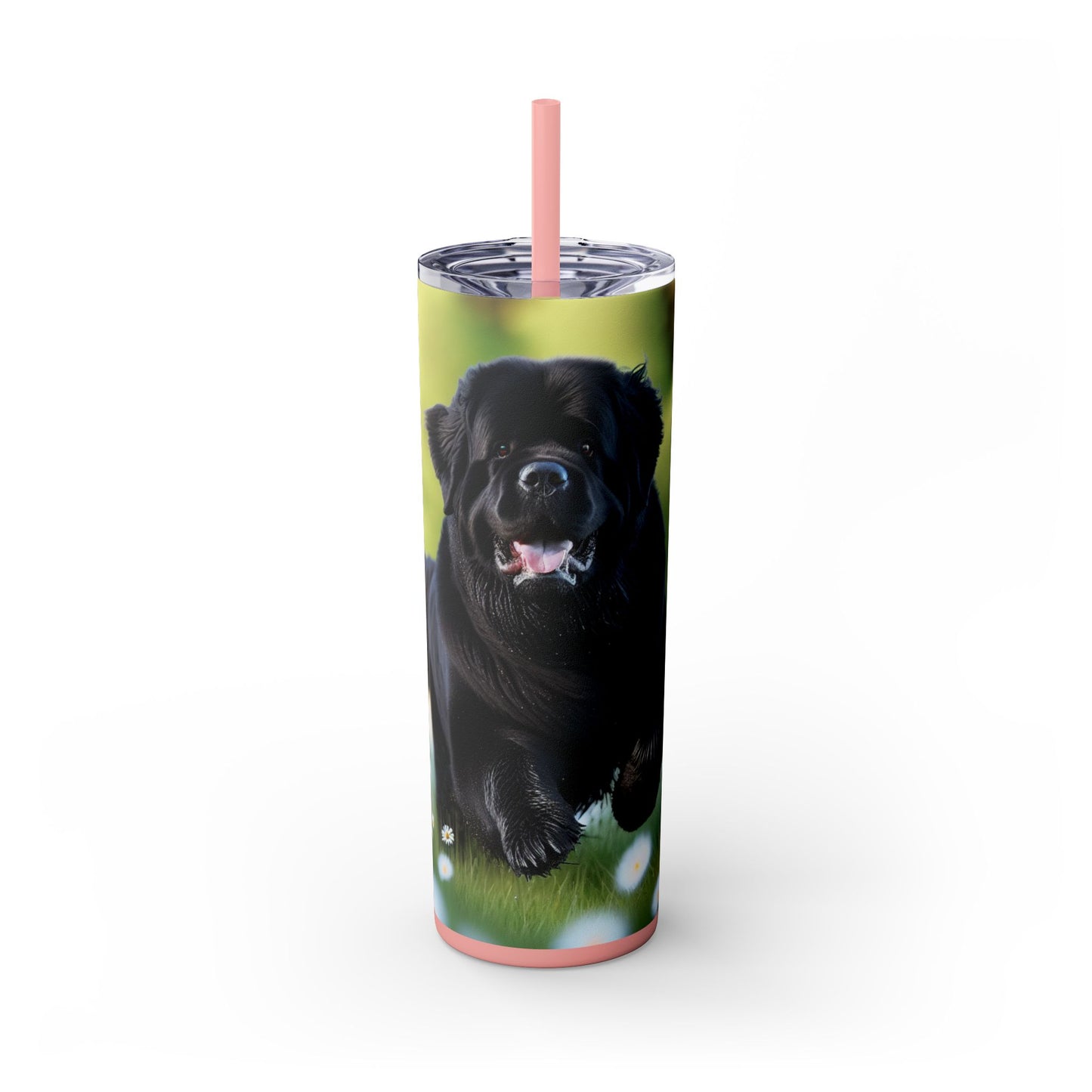 Newfoundland Skinny Tumbler with Straw, 20oz