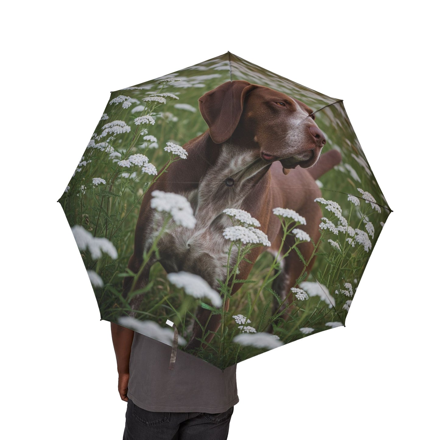 Braque du Bourbonnais Semi-Automatic Foldable Umbrella