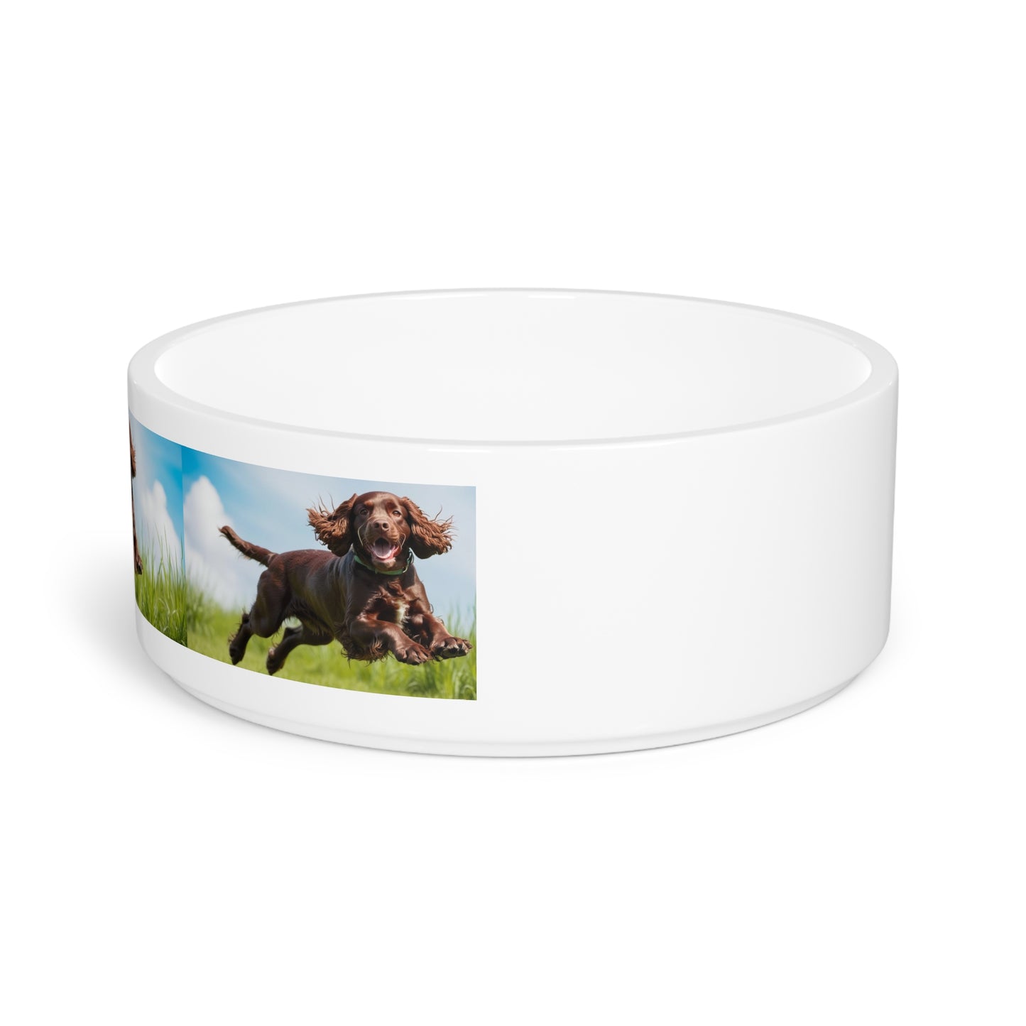 Irish Water Spaniel Pet Bowl