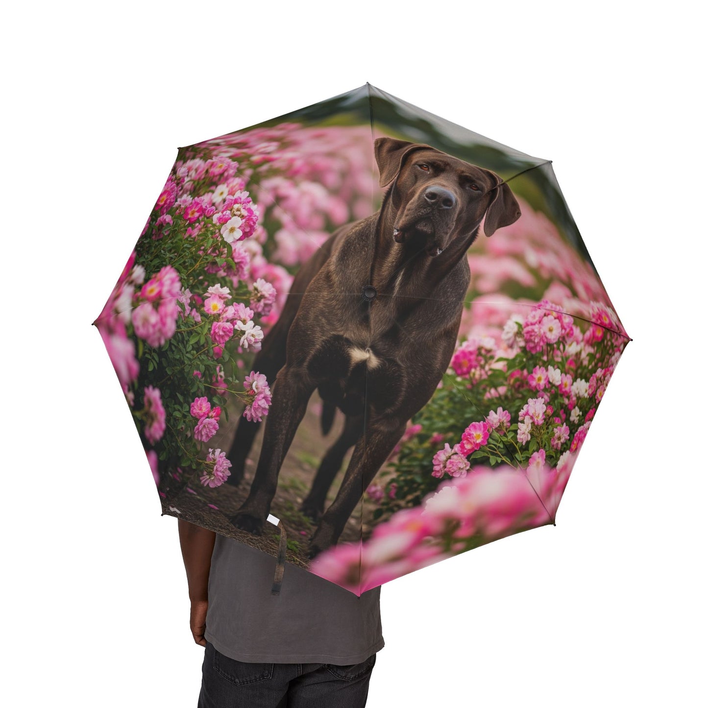 Paraguas plegable semiautomático Broholmer