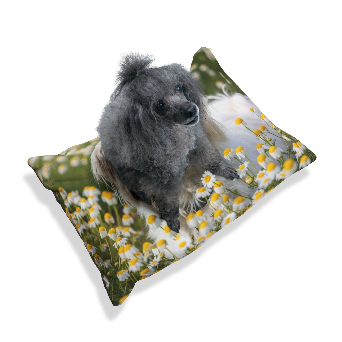Havamalt Pet Bed
