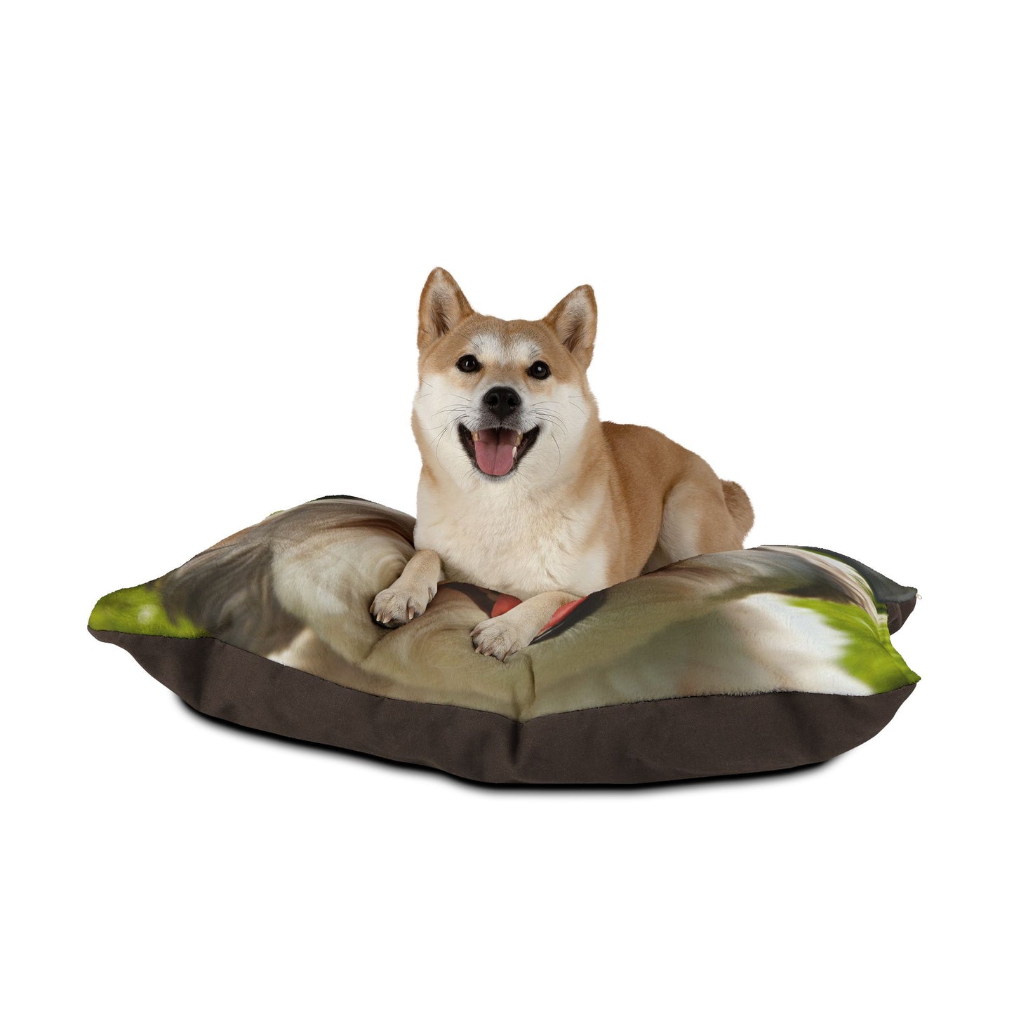 Havamalt Pet Bed