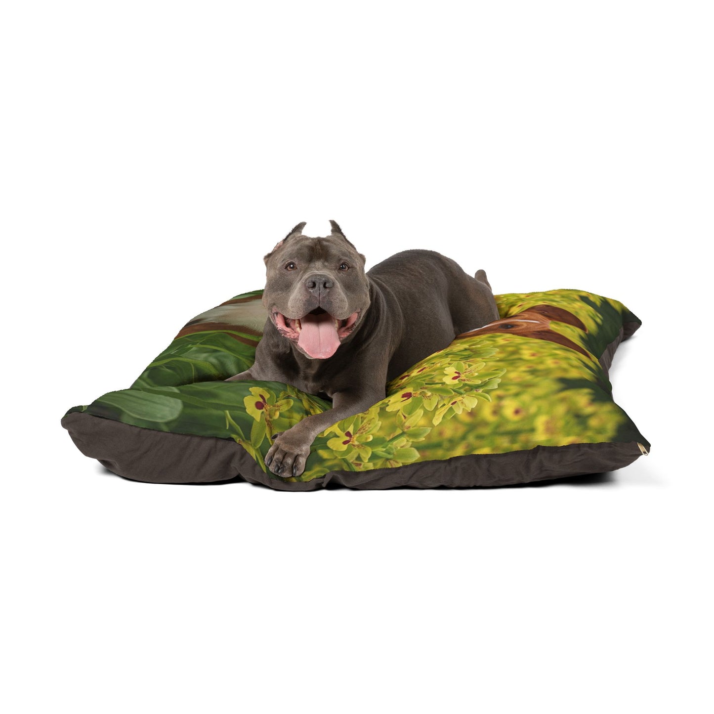 Basenji Pet Bed