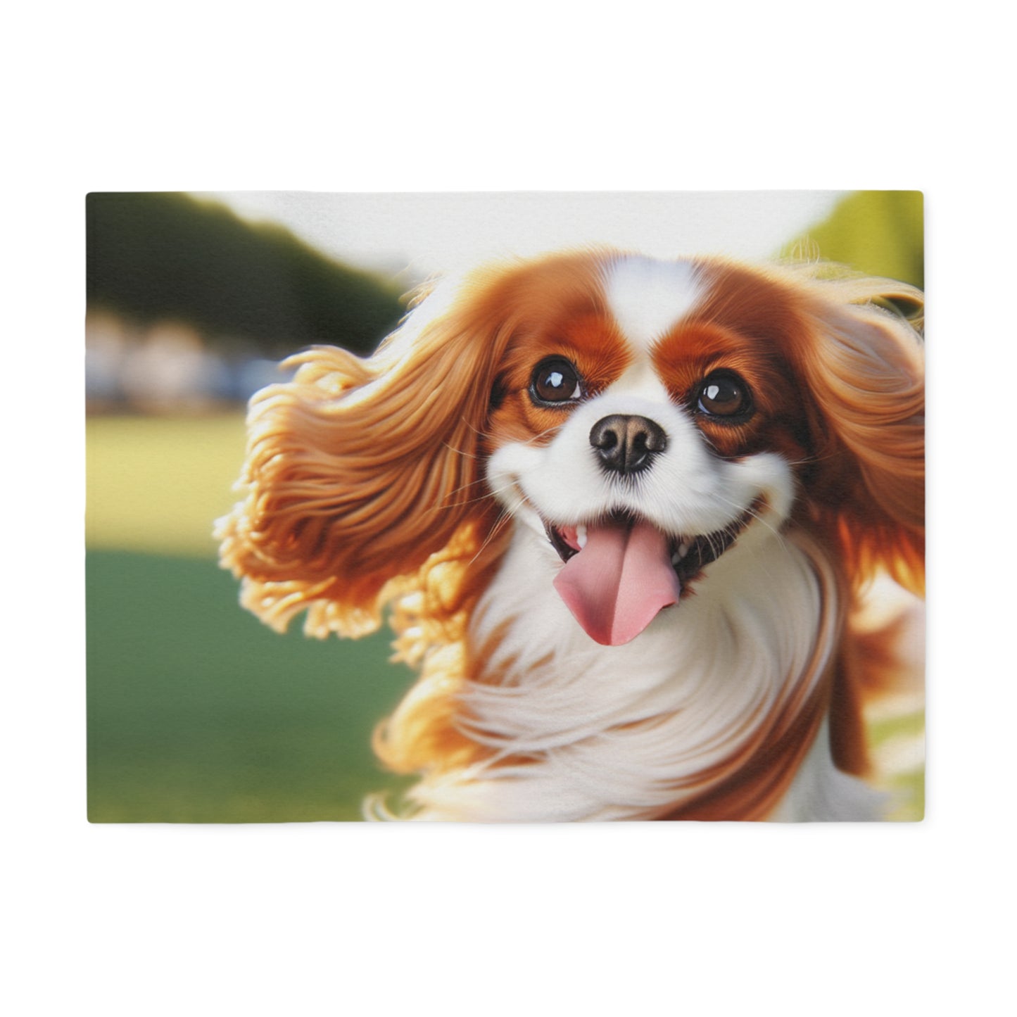 Cavalier King Charles Spaniel Sweatshirt Blanket