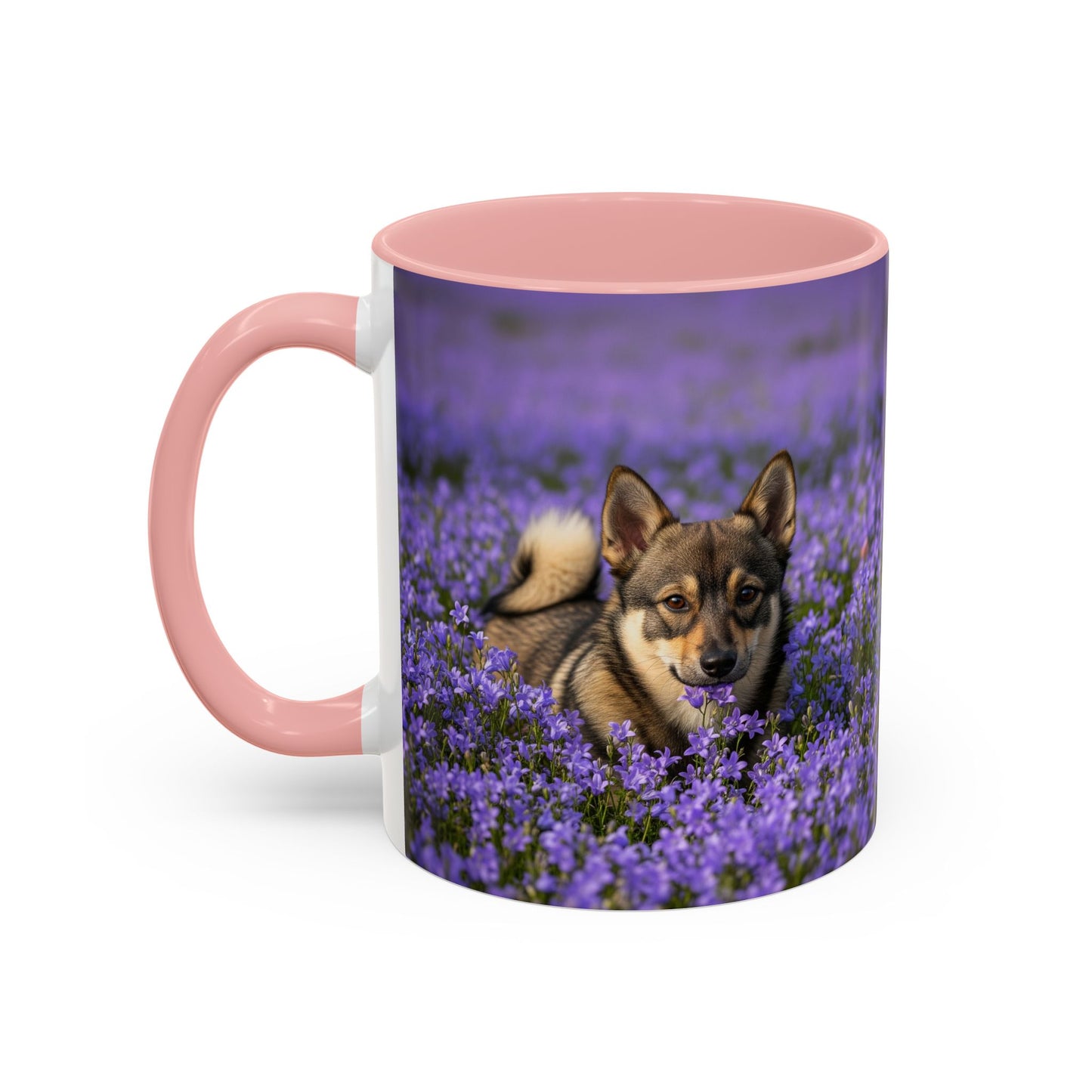 Swedish Vallhund Accent Coffee Mug - Perfect Gift for Dog Lovers