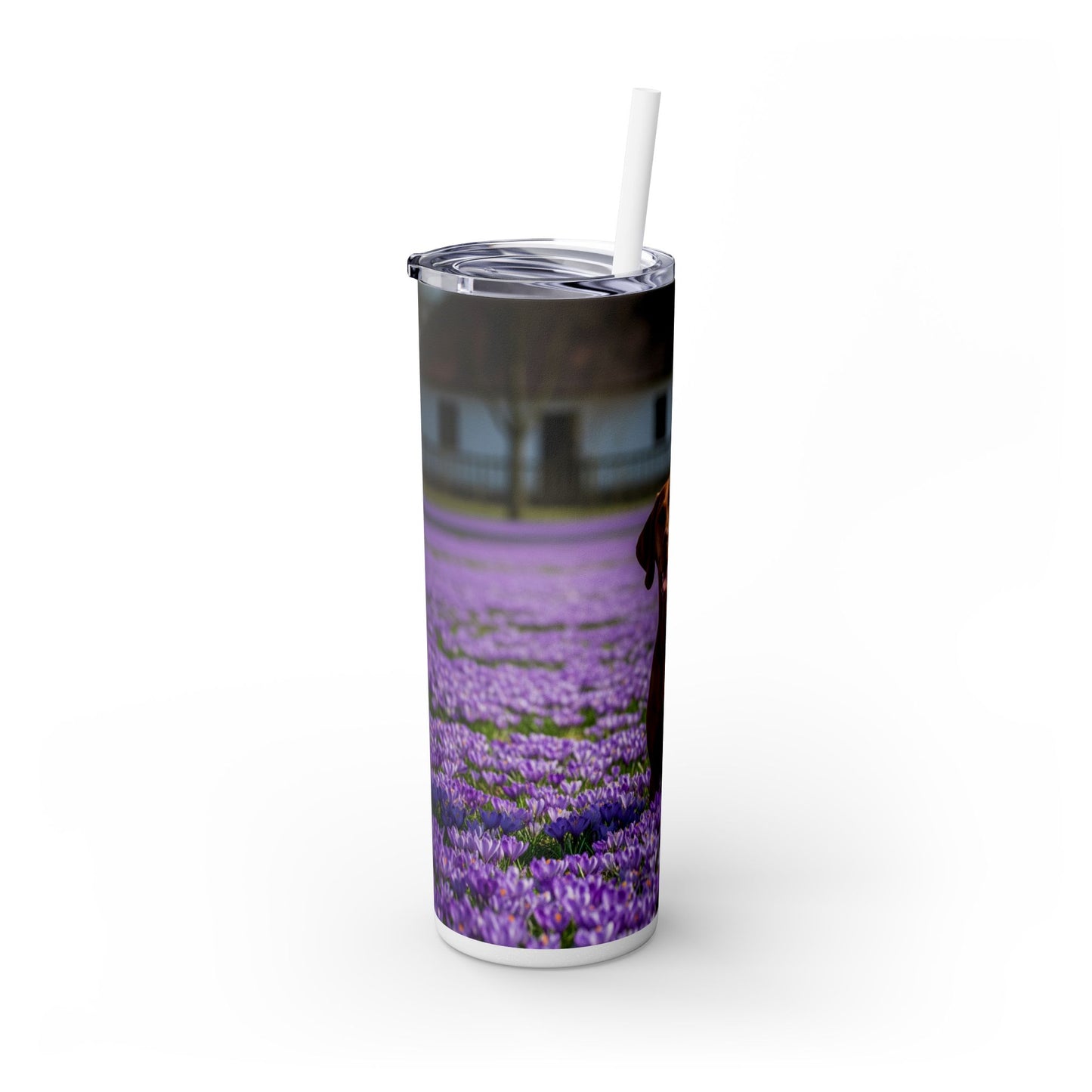 Vizsla Tumbler with Straw, 20oz
