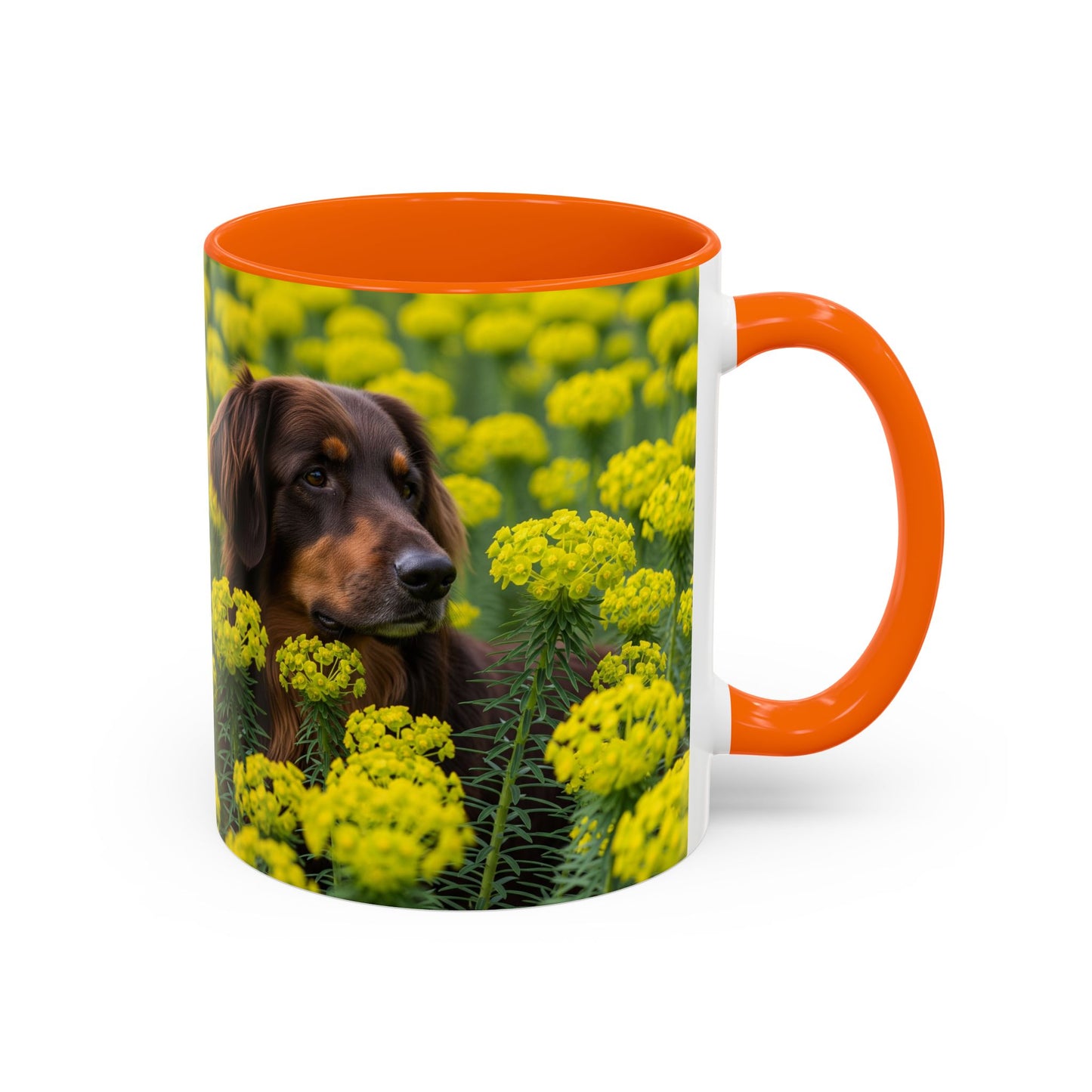 Hovawart Accent Coffee Mug - Perfect Gift for Dog Lovers