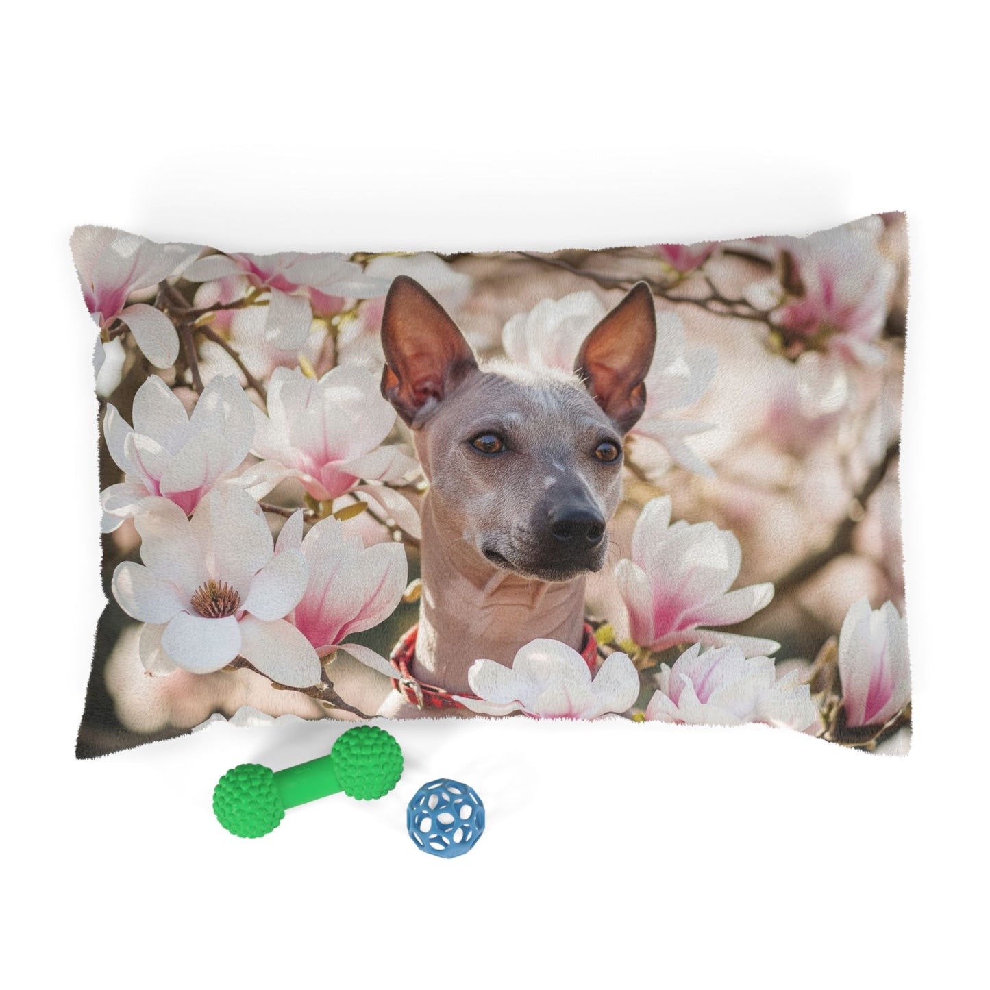 American Hairless Terrier Pet Bed
