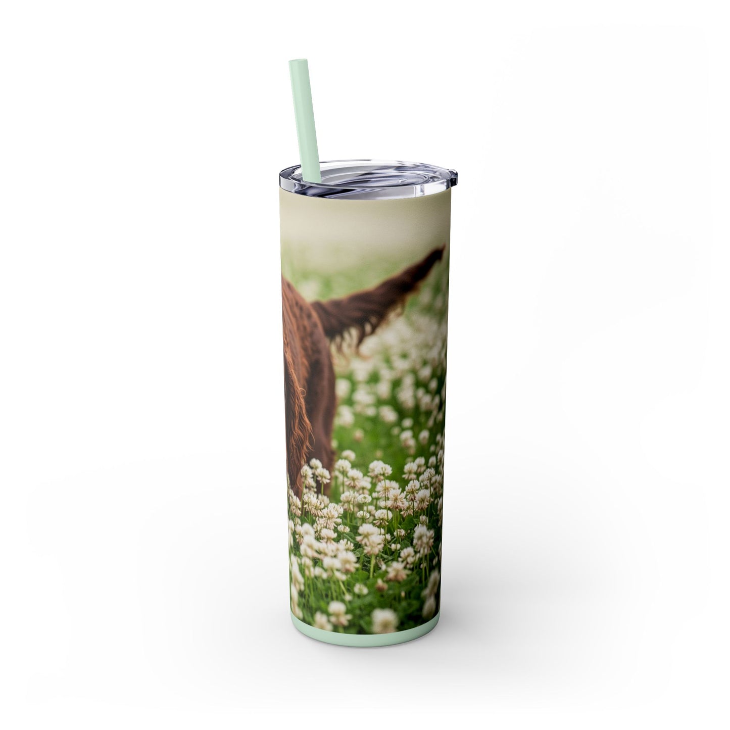 Irish Water Spaniel Tumbler with Straw, 20oz