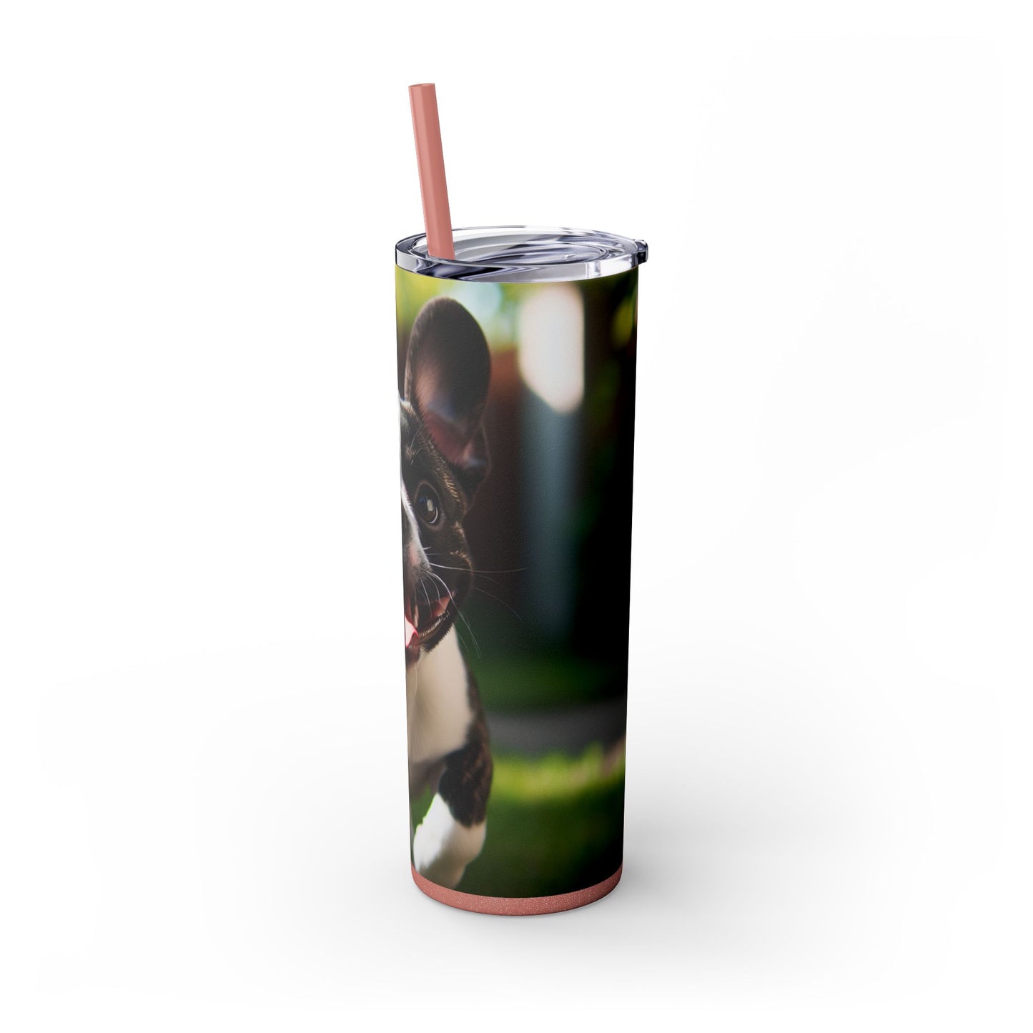 Frenchton Tumbler with Straw, 20oz