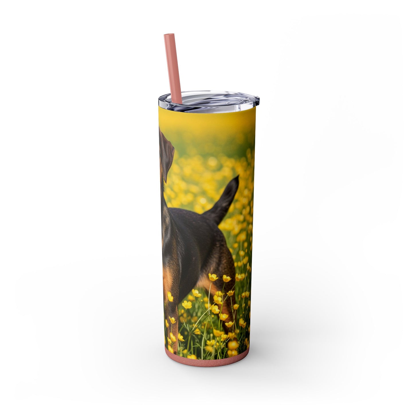 Drever Tumbler with Straw, 20oz