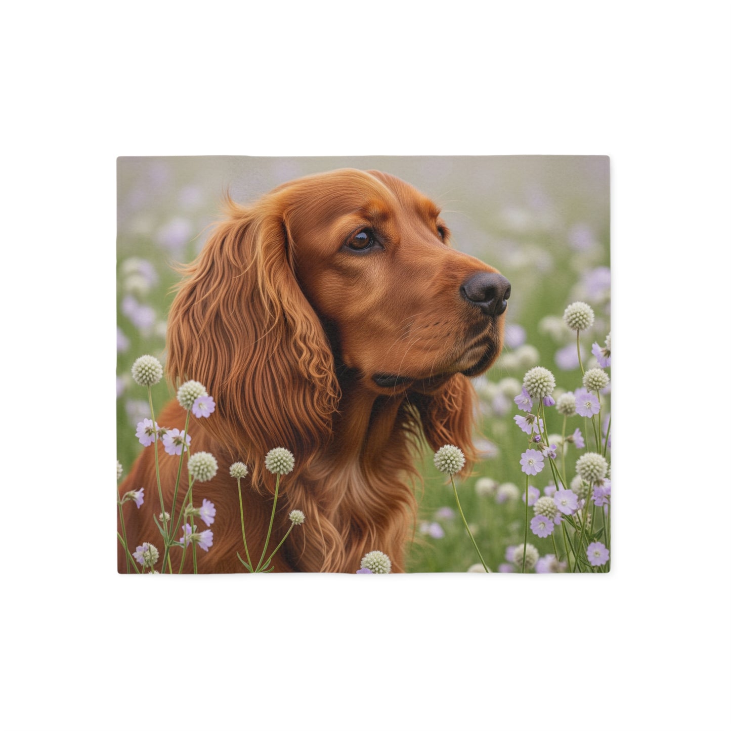 Sussex Spaniel Sweatshirt Blanket