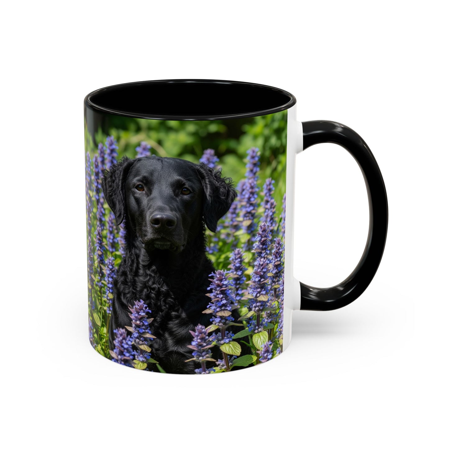 Curly Coated Retriever Accent Coffee Mug - Perfect Gift for Dog Lovers