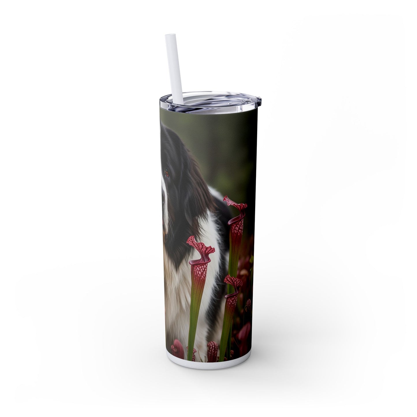 Landseer Tumbler with Straw, 20oz