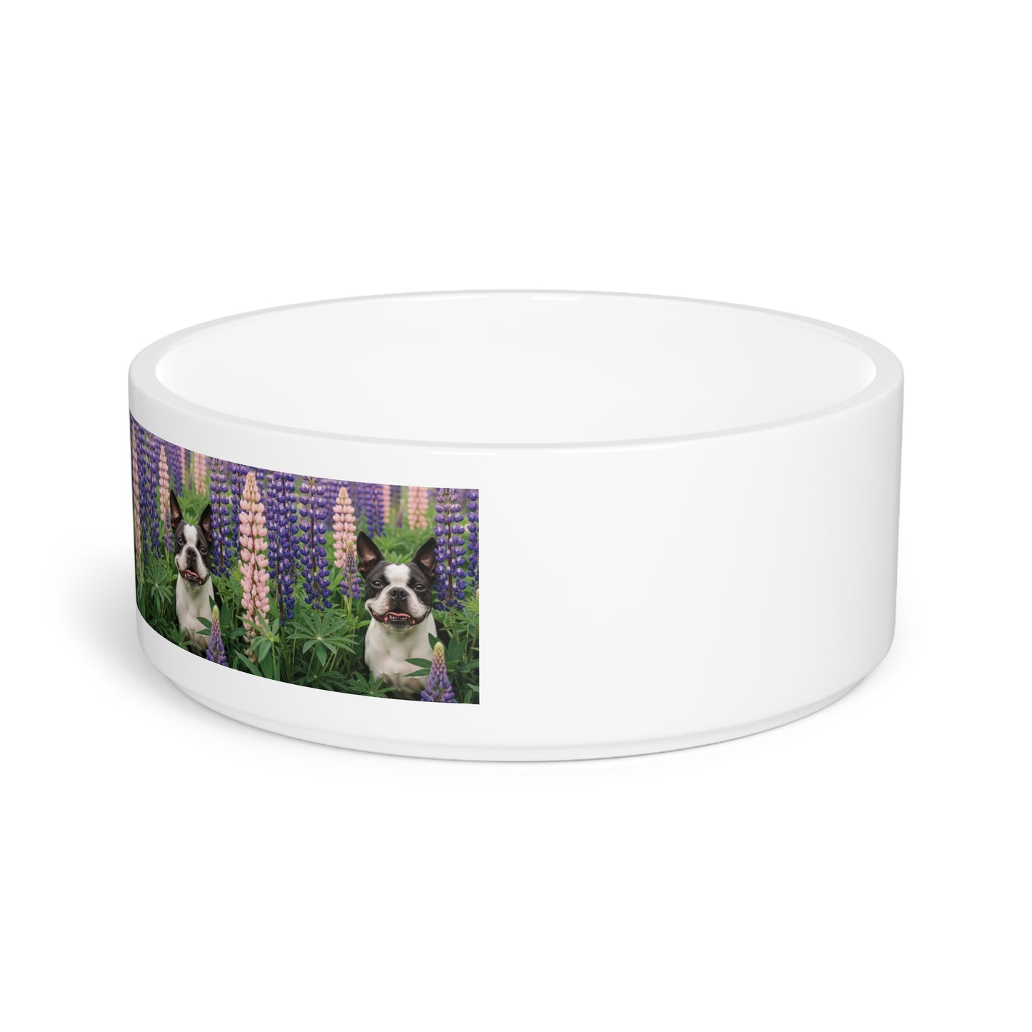 Boston Terrier Pet Bowl