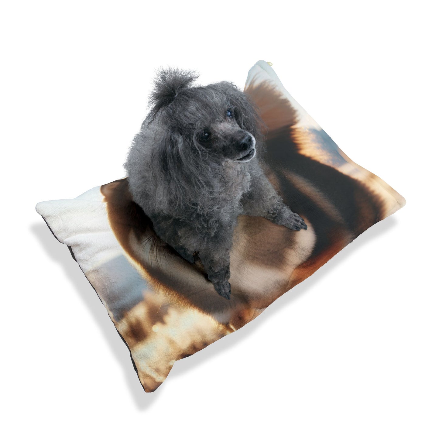Lapponian Herder Pet Bed