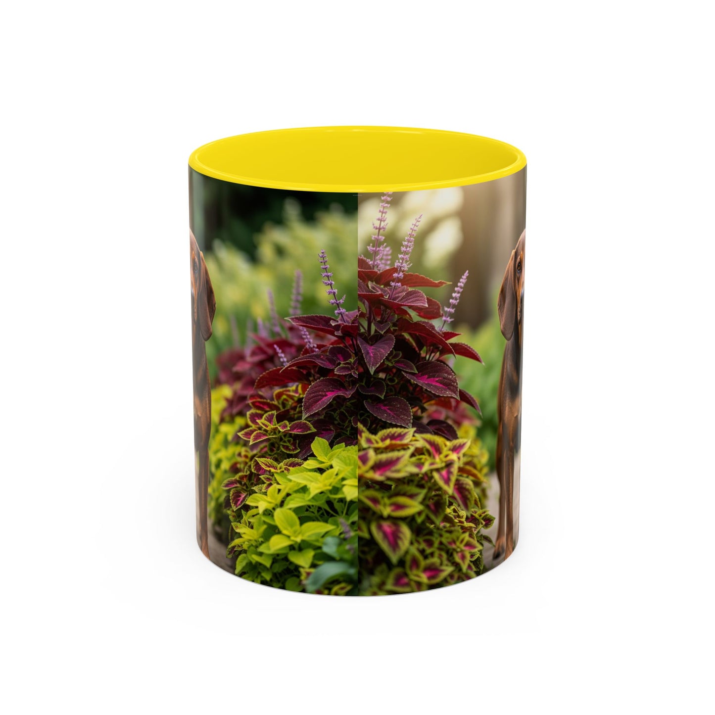 Hamiltonstovare Accent Coffee Mug - Perfect Gift for Dog Lovers