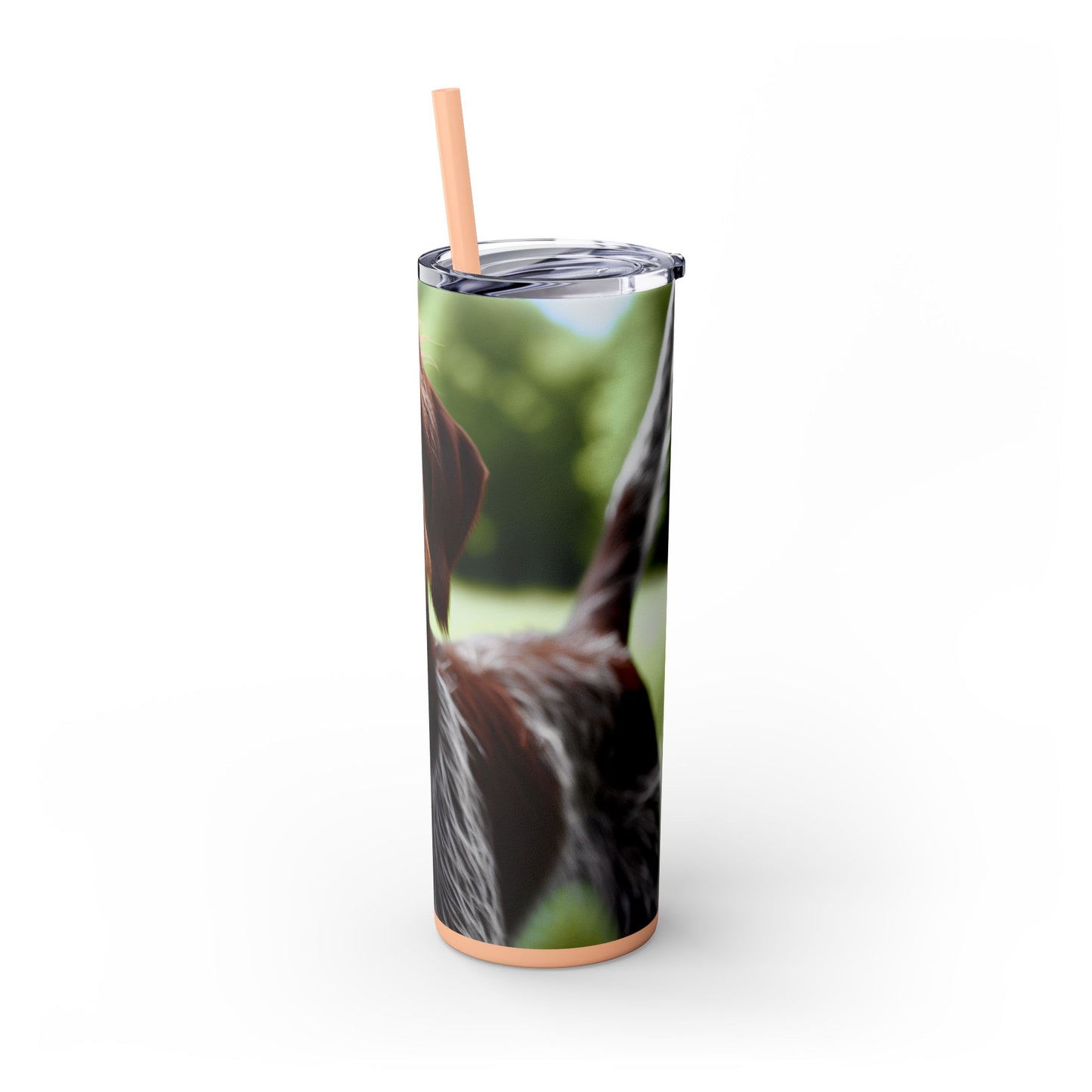 Wirehaired Slovakian Pointer Skinny Tumbler with Straw, 20oz