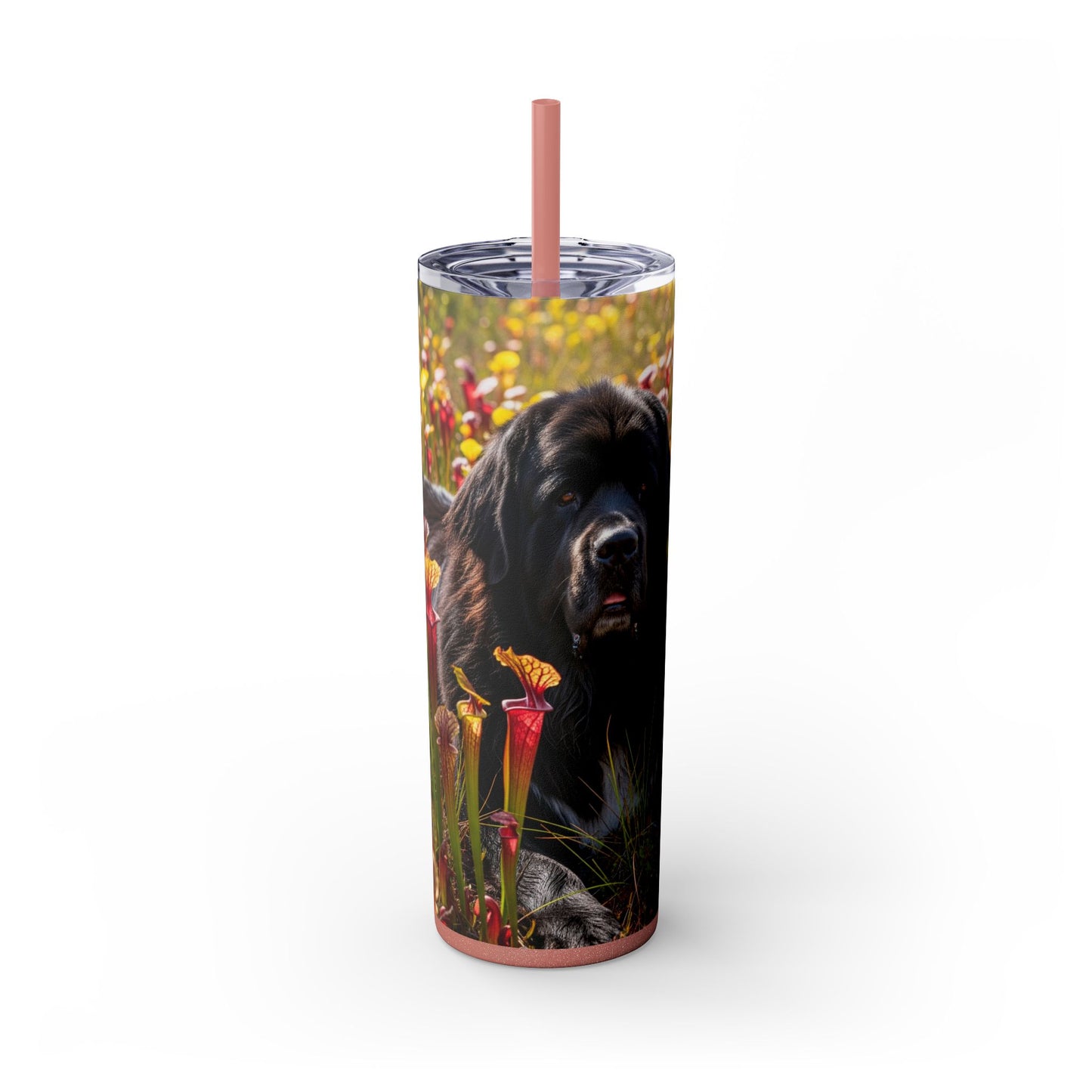 Newfoundland Skinny Tumbler with Straw, 20oz