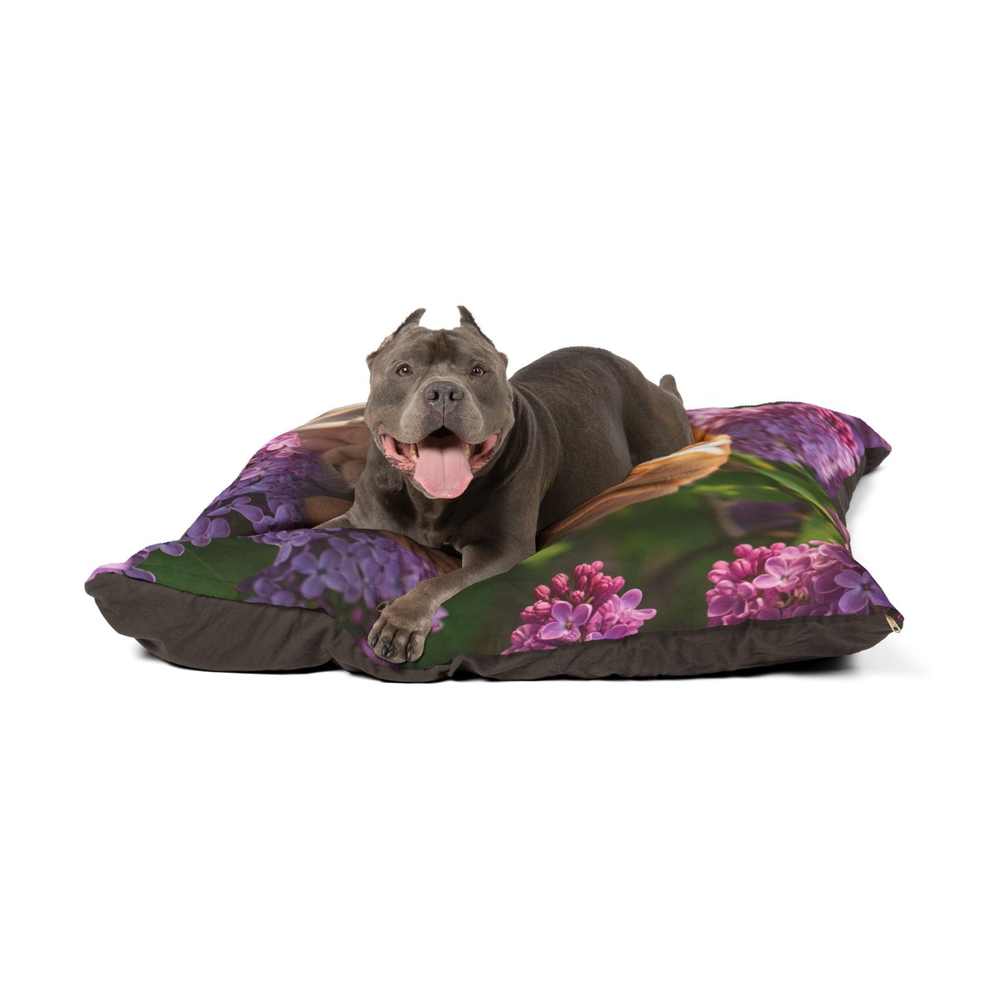 Peagle Pet Bed